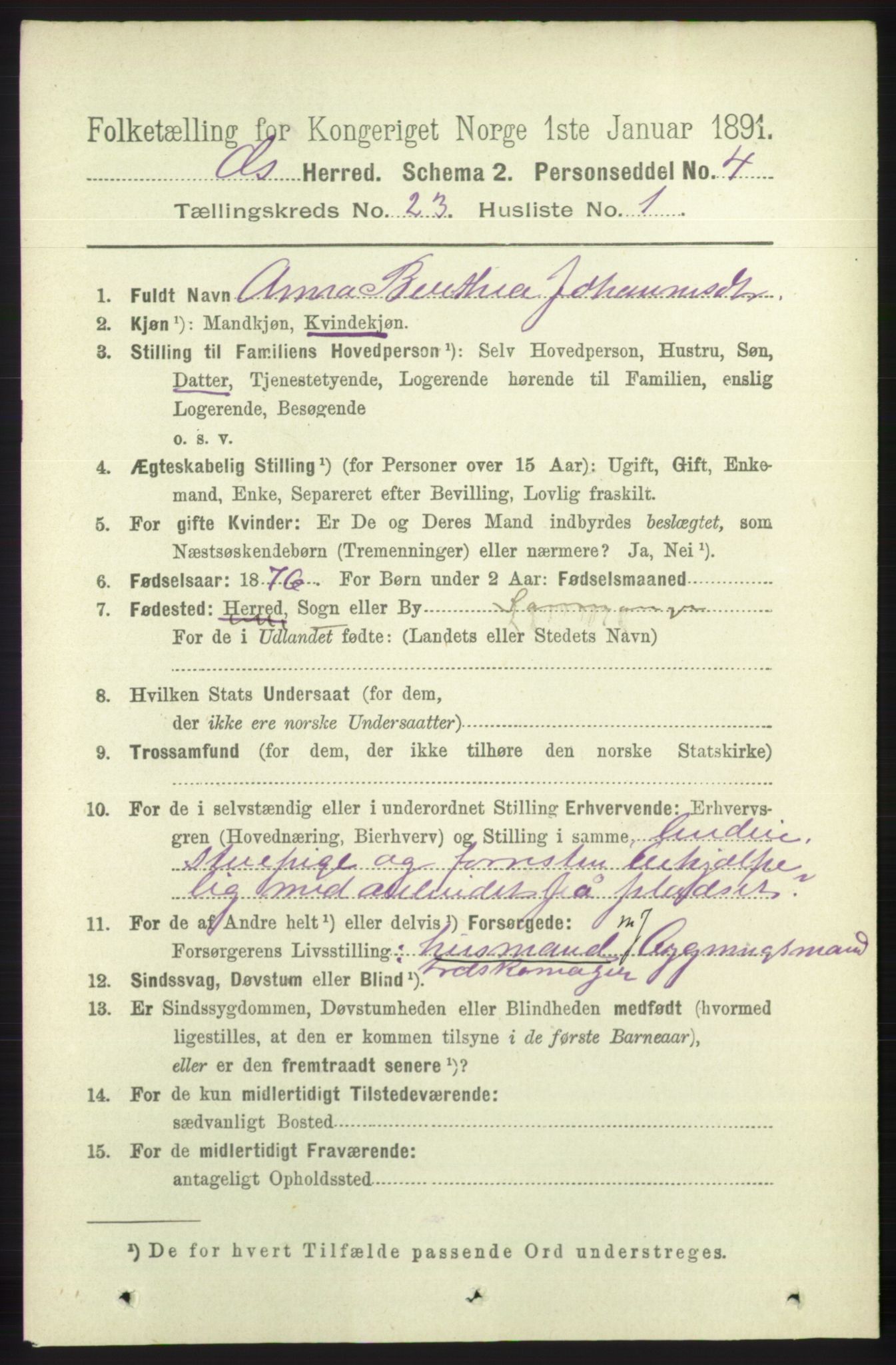 RA, 1891 census for 1243 Os, 1891, p. 5069