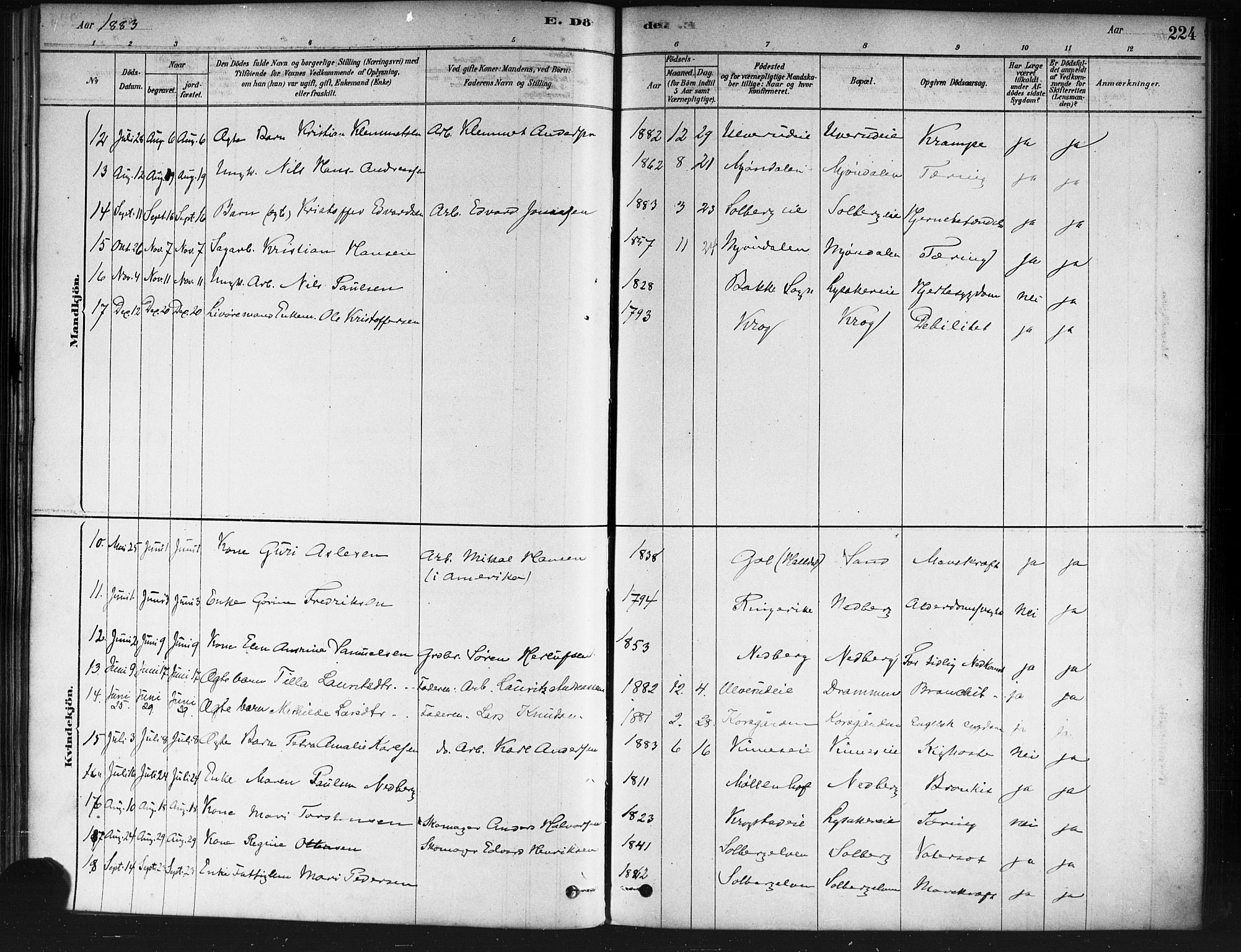 Nedre Eiker kirkebøker, SAKO/A-612/F/Fa/L0002: Parish register (official) no. 2, 1878-1885, p. 224