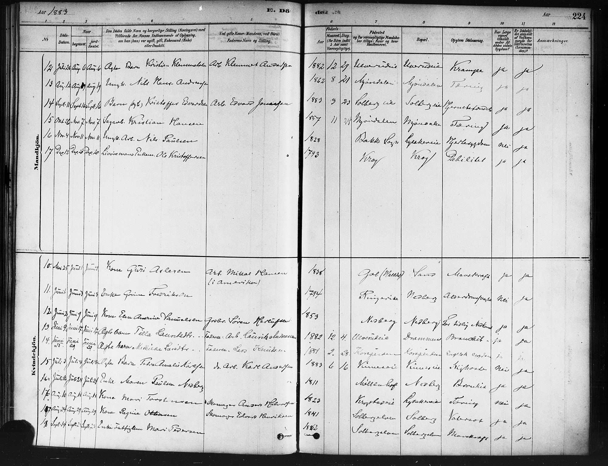 Nedre Eiker kirkebøker, AV/SAKO-A-612/F/Fa/L0002: Parish register (official) no. 2, 1878-1885, p. 224