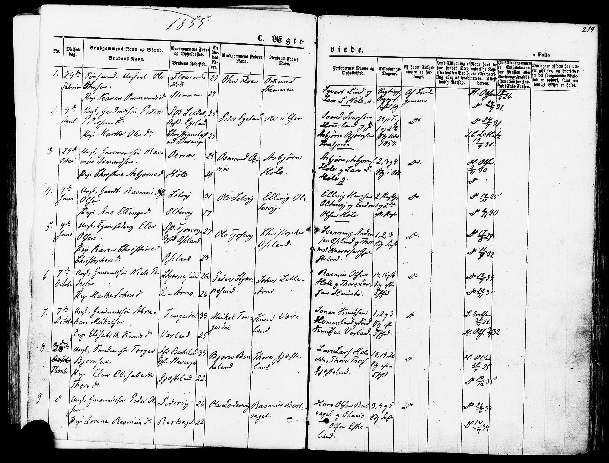 Høgsfjord sokneprestkontor, SAST/A-101624/H/Ha/Haa/L0002: Parish register (official) no. A 2, 1855-1885, p. 219