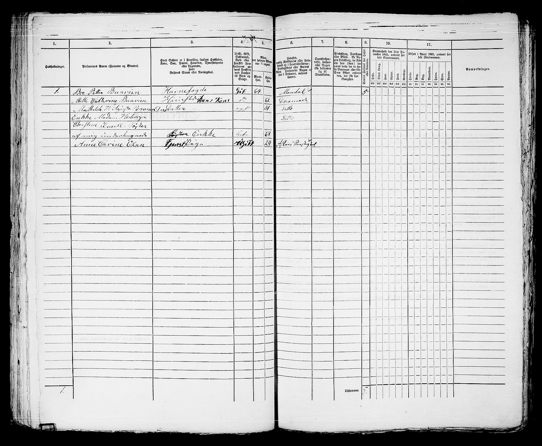 RA, 1865 census for Strømsø in Drammen, 1865, p. 744