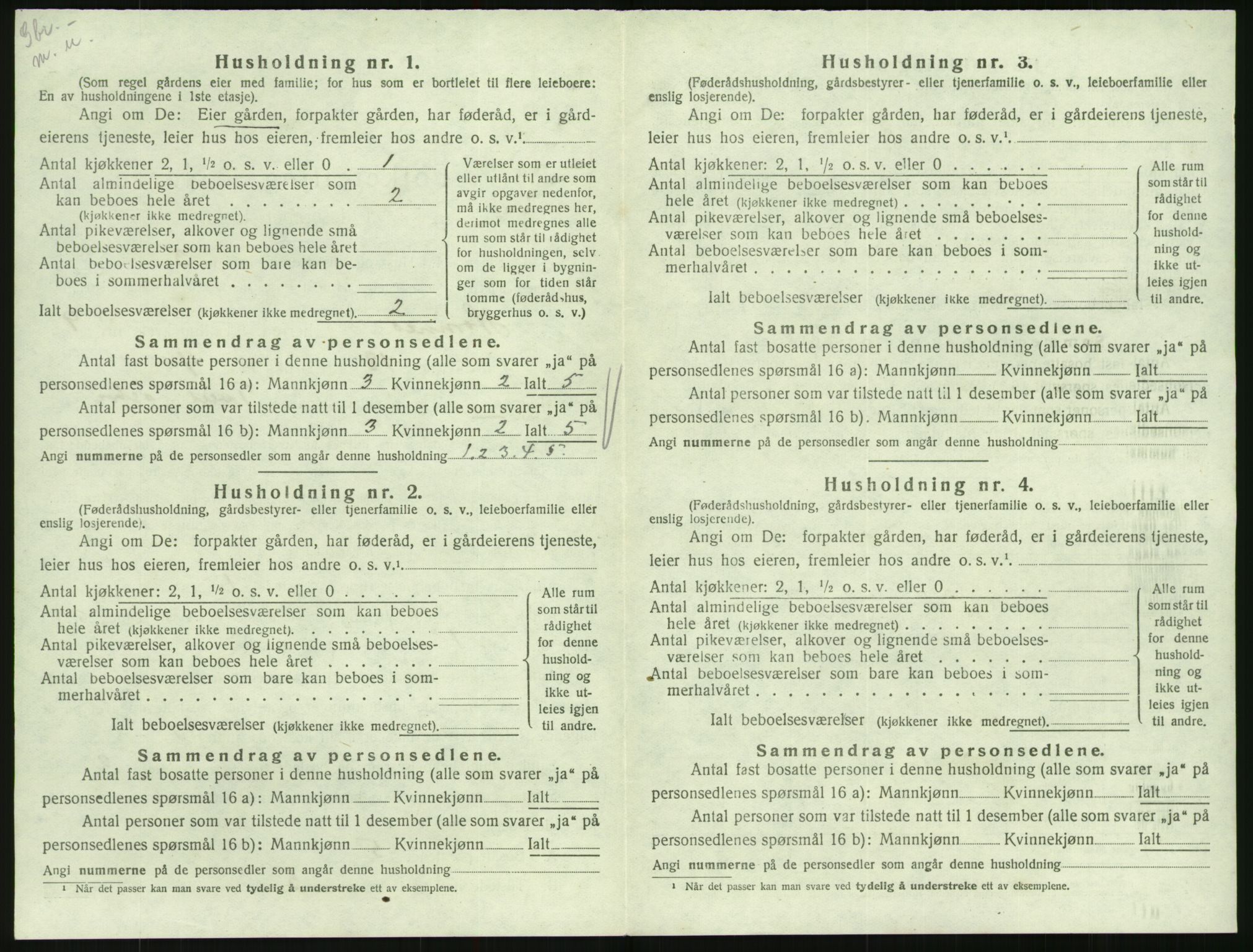 SAK, 1920 census for Hornnes, 1920, p. 356