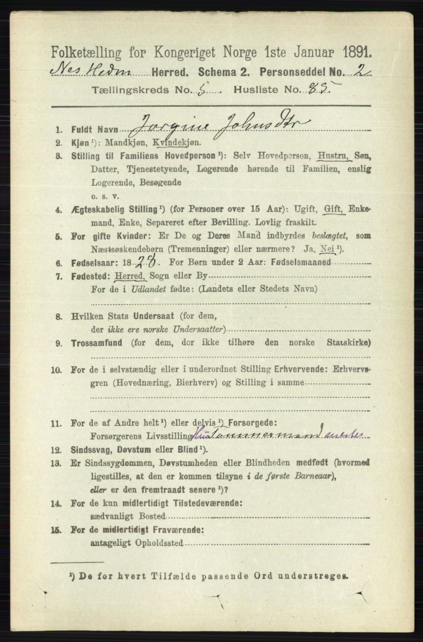 RA, 1891 census for 0411 Nes, 1891, p. 3159