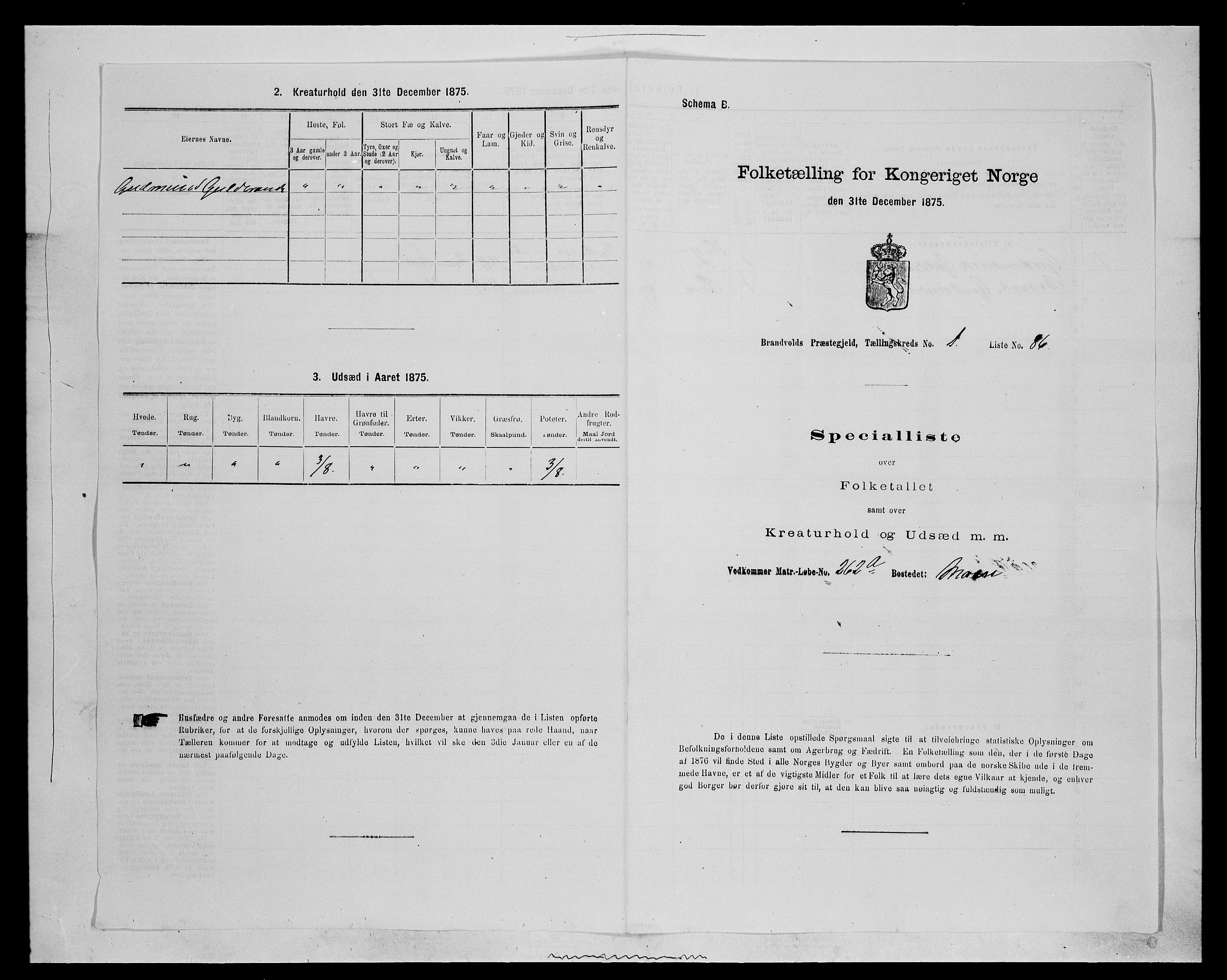 SAH, 1875 census for 0422P Brandval, 1875, p. 249