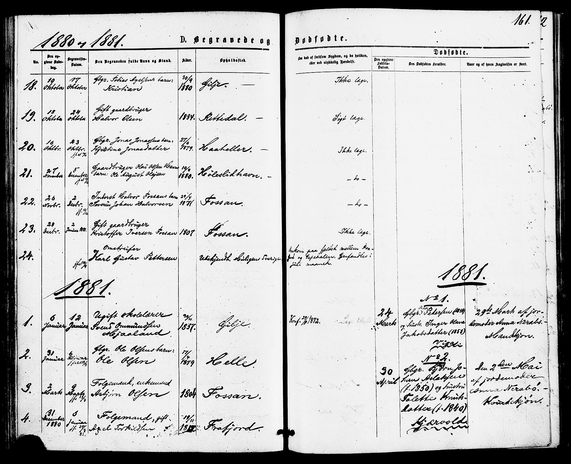 Høgsfjord sokneprestkontor, SAST/A-101624/H/Ha/Haa/L0004: Parish register (official) no. A 4, 1876-1884, p. 161