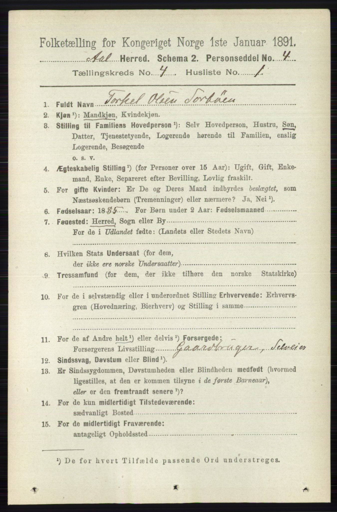 RA, 1891 census for 0619 Ål, 1891, p. 1037