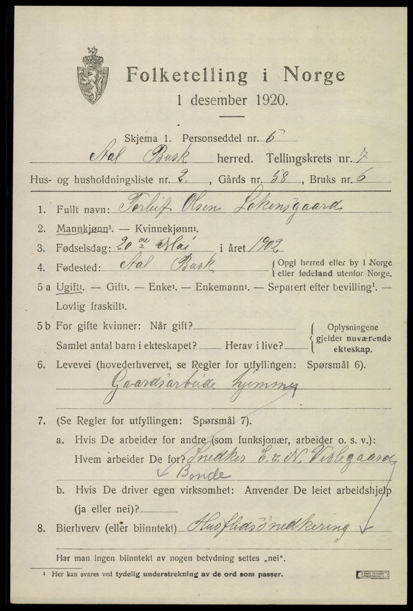 SAKO, 1920 census for Ål, 1920, p. 4808