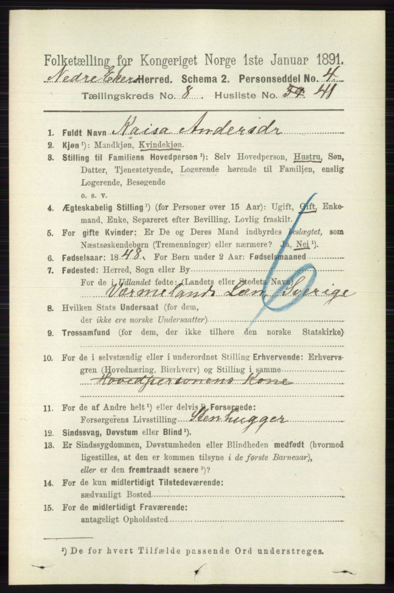 RA, 1891 census for 0625 Nedre Eiker, 1891, p. 4209