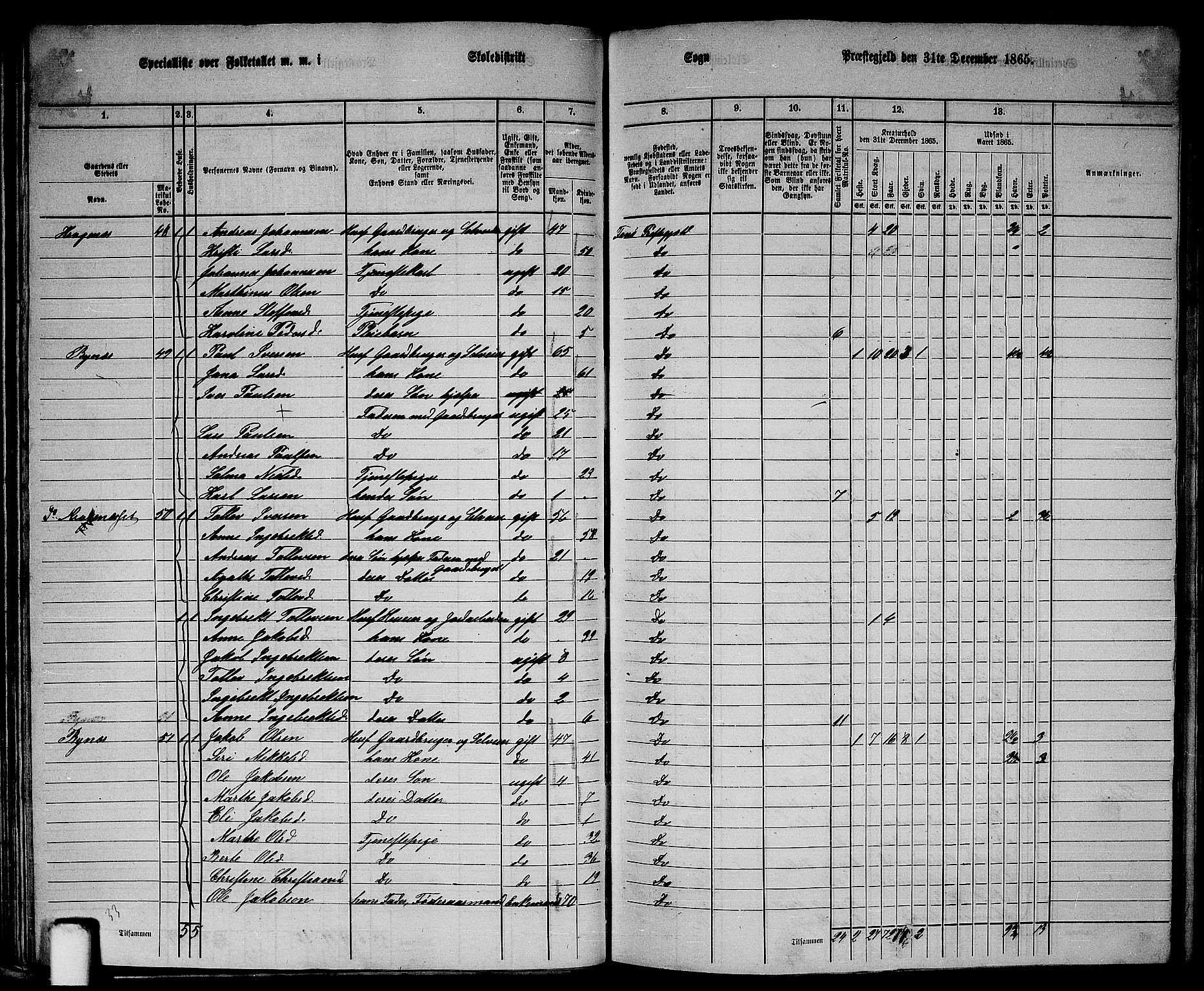 RA, 1865 census for Fana, 1865, p. 37