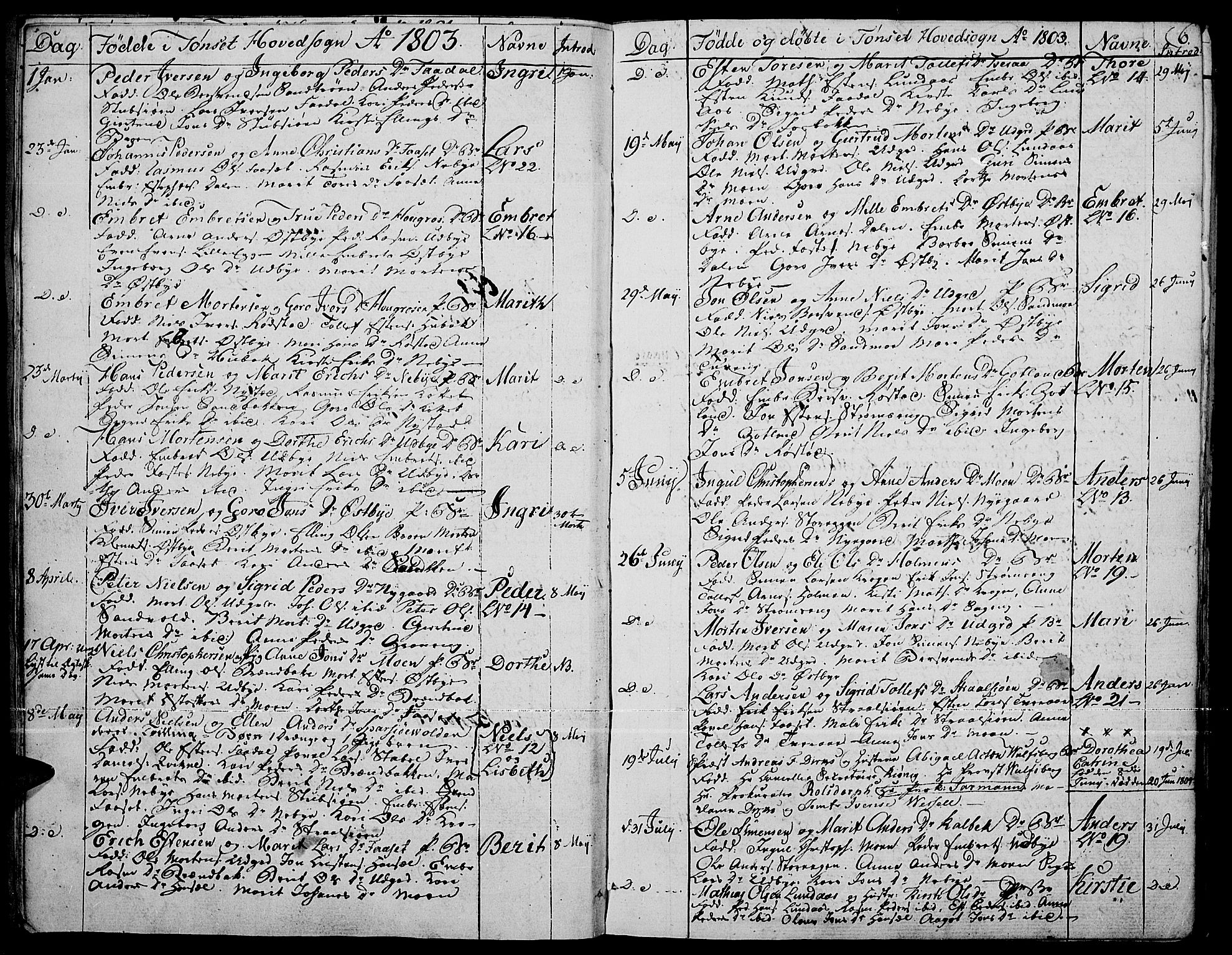 Tynset prestekontor, SAH/PREST-058/H/Ha/Haa/L0015: Parish register (official) no. 15, 1801-1814, p. 6