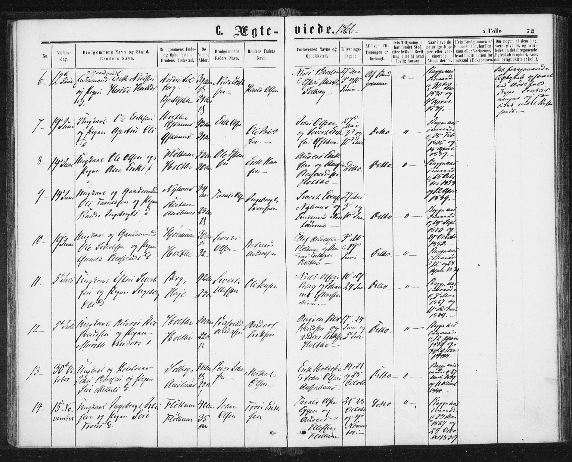 Ministerialprotokoller, klokkerbøker og fødselsregistre - Sør-Trøndelag, SAT/A-1456/689/L1039: Parish register (official) no. 689A04, 1865-1878, p. 72