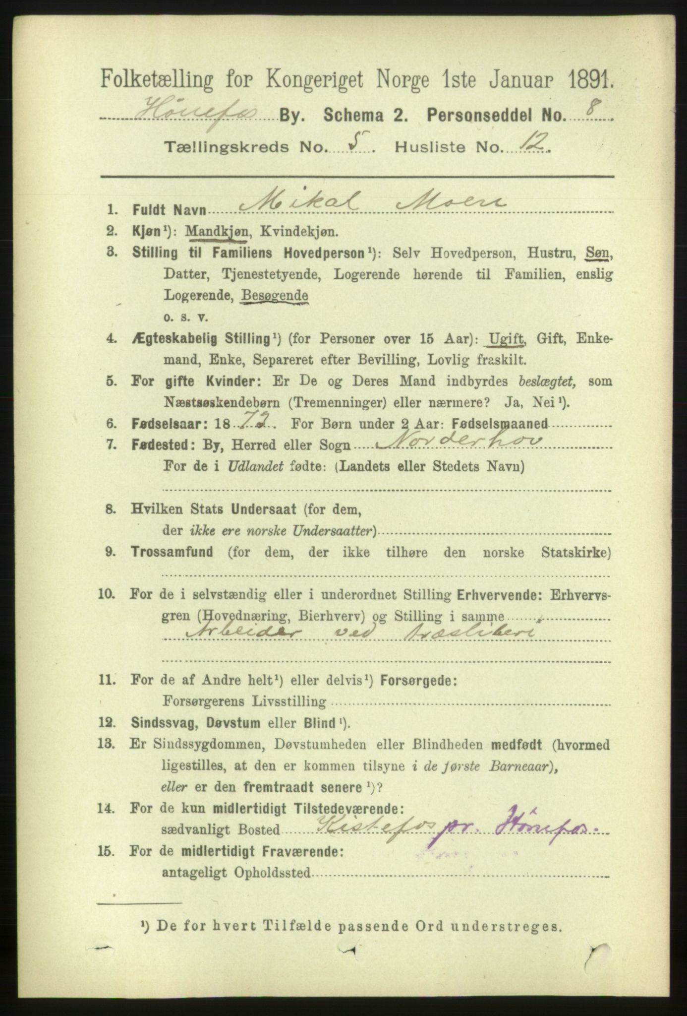 RA, 1891 census for 0601 Hønefoss, 1891, p. 1003