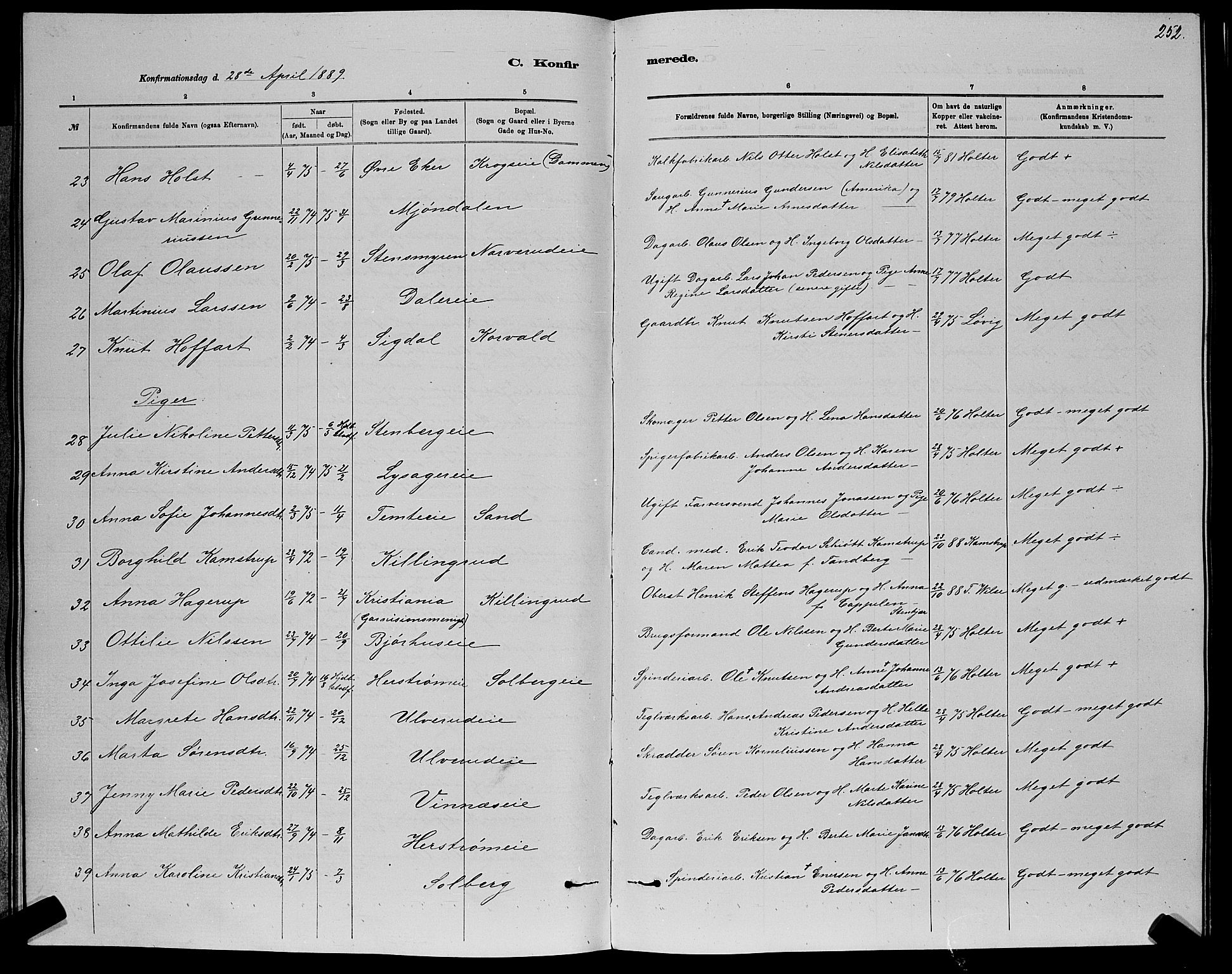 Nedre Eiker kirkebøker, AV/SAKO-A-612/G/Ga/L0002: Parish register (copy) no. 2, 1880-1896, p. 252