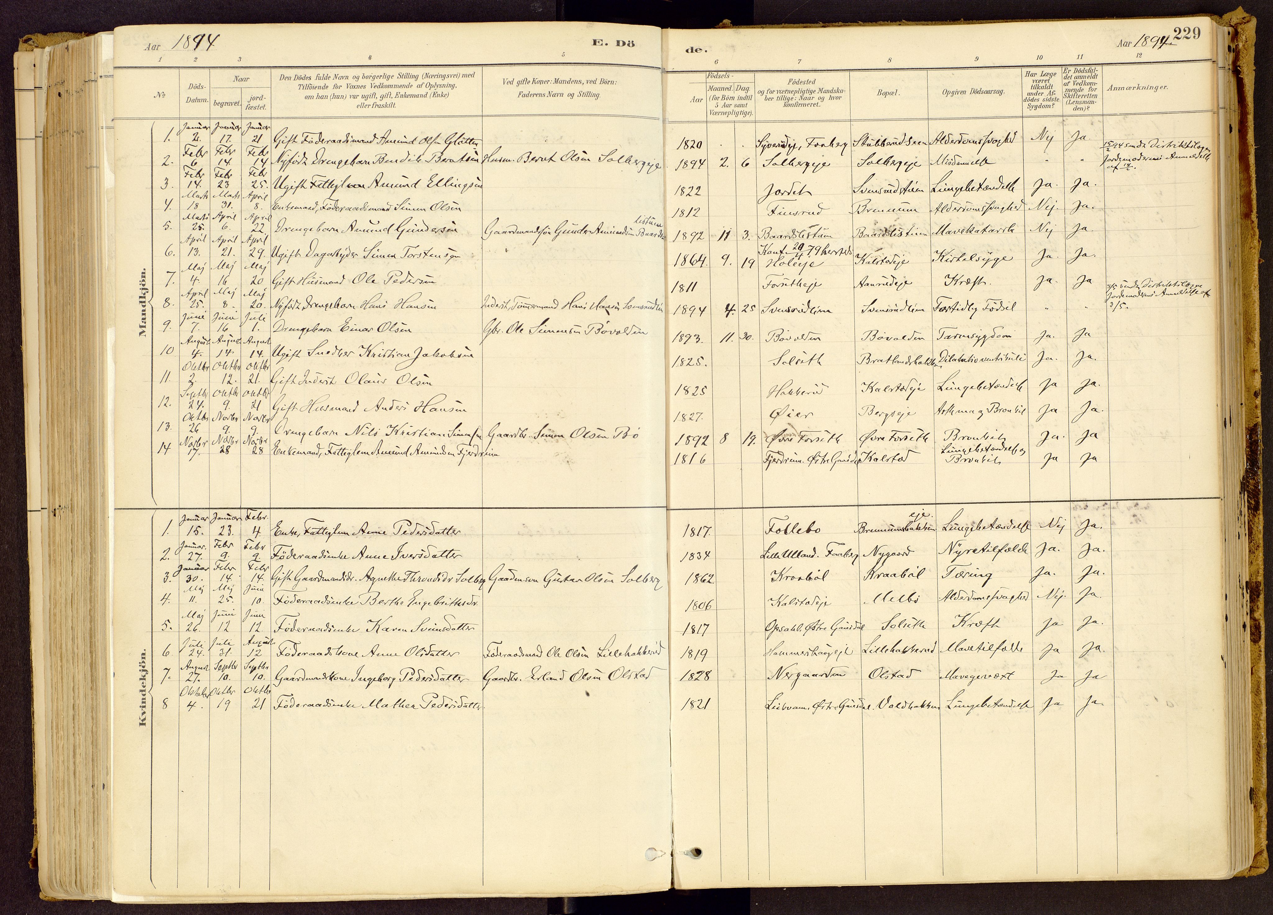 Vestre Gausdal prestekontor, SAH/PREST-094/H/Ha/Haa/L0001: Parish register (official) no. 1, 1887-1914, p. 229