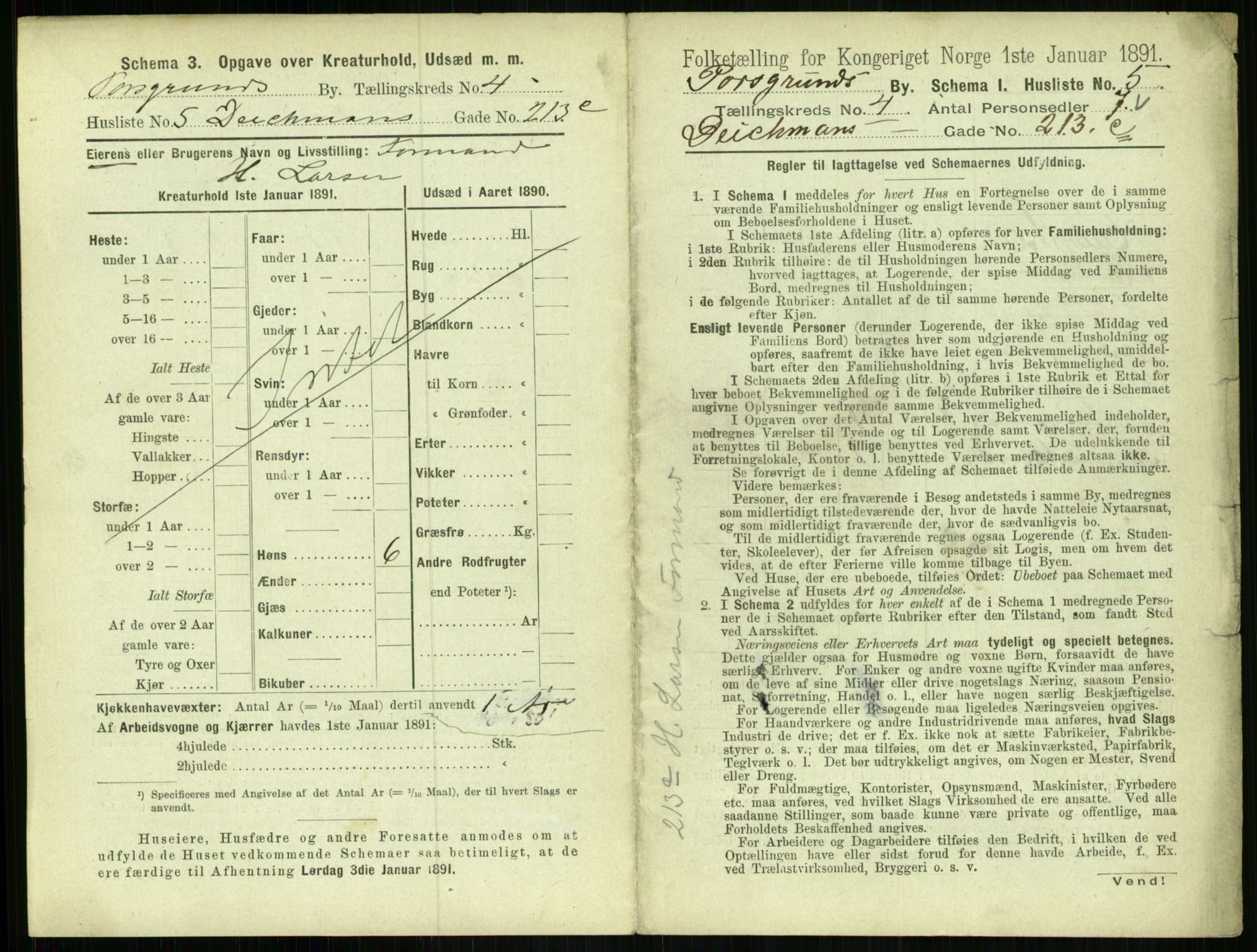 RA, 1891 census for 0805 Porsgrunn, 1891, p. 791