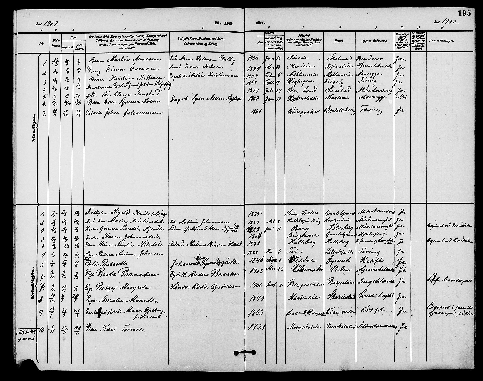 Nes prestekontor, Hedmark, AV/SAH-PREST-020/L/La/L0007: Parish register (copy) no. 7, 1892-1912, p. 195