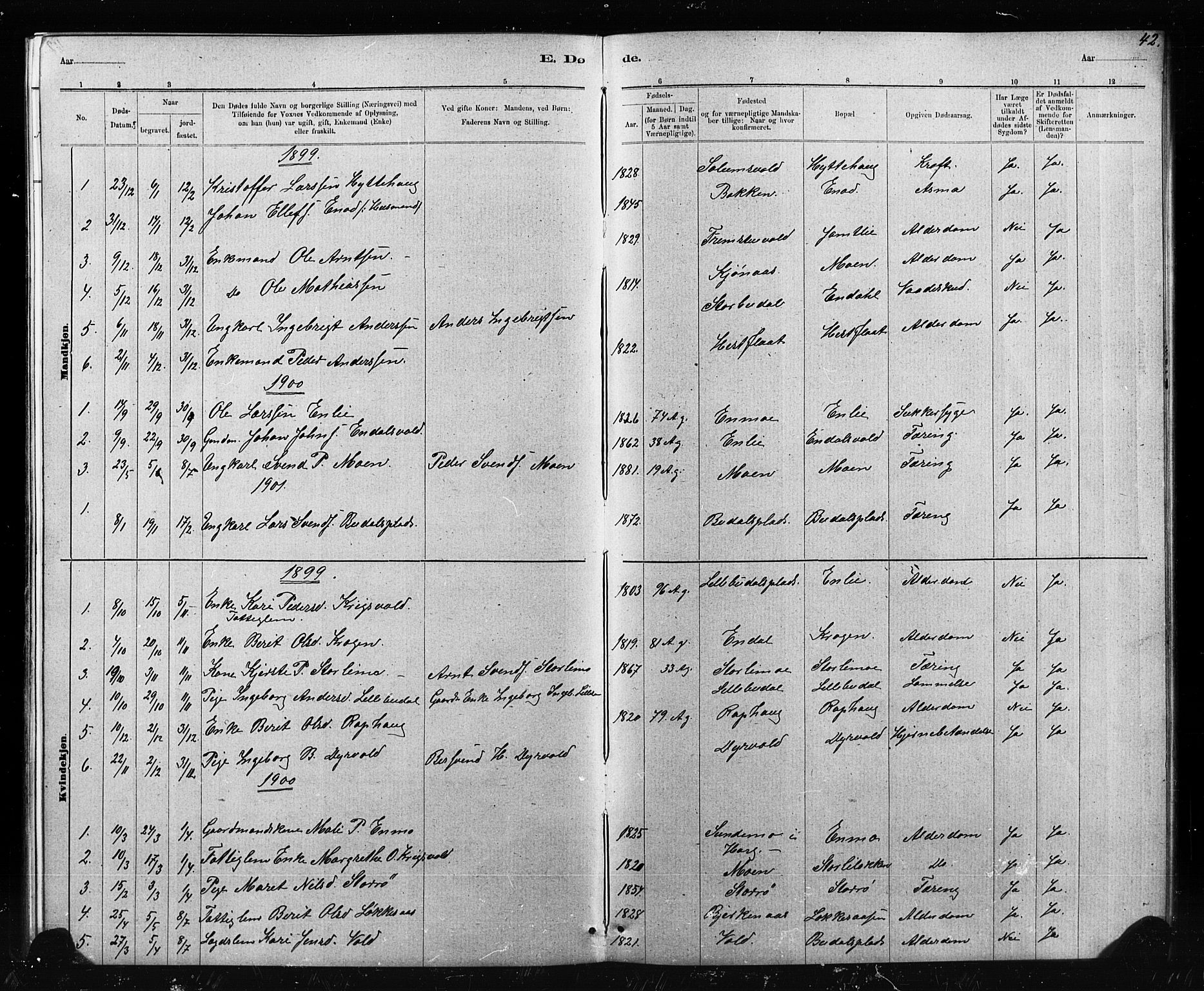 Ministerialprotokoller, klokkerbøker og fødselsregistre - Sør-Trøndelag, SAT/A-1456/690/L1051: Parish register (copy) no. 690C01, 1887-1908, p. 42