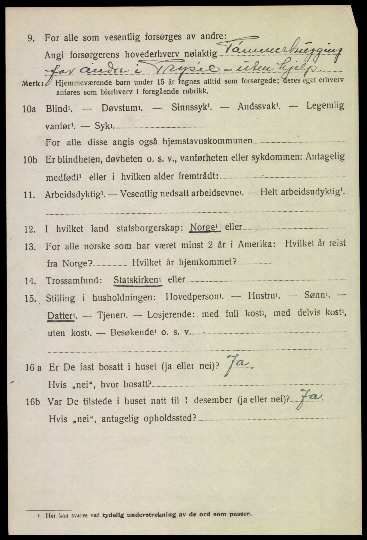 SAH, 1920 census for Trysil, 1920, p. 16158