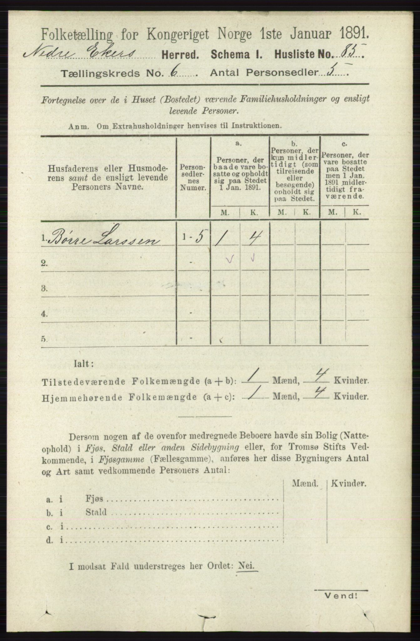 RA, 1891 census for 0625 Nedre Eiker, 1891, p. 2889