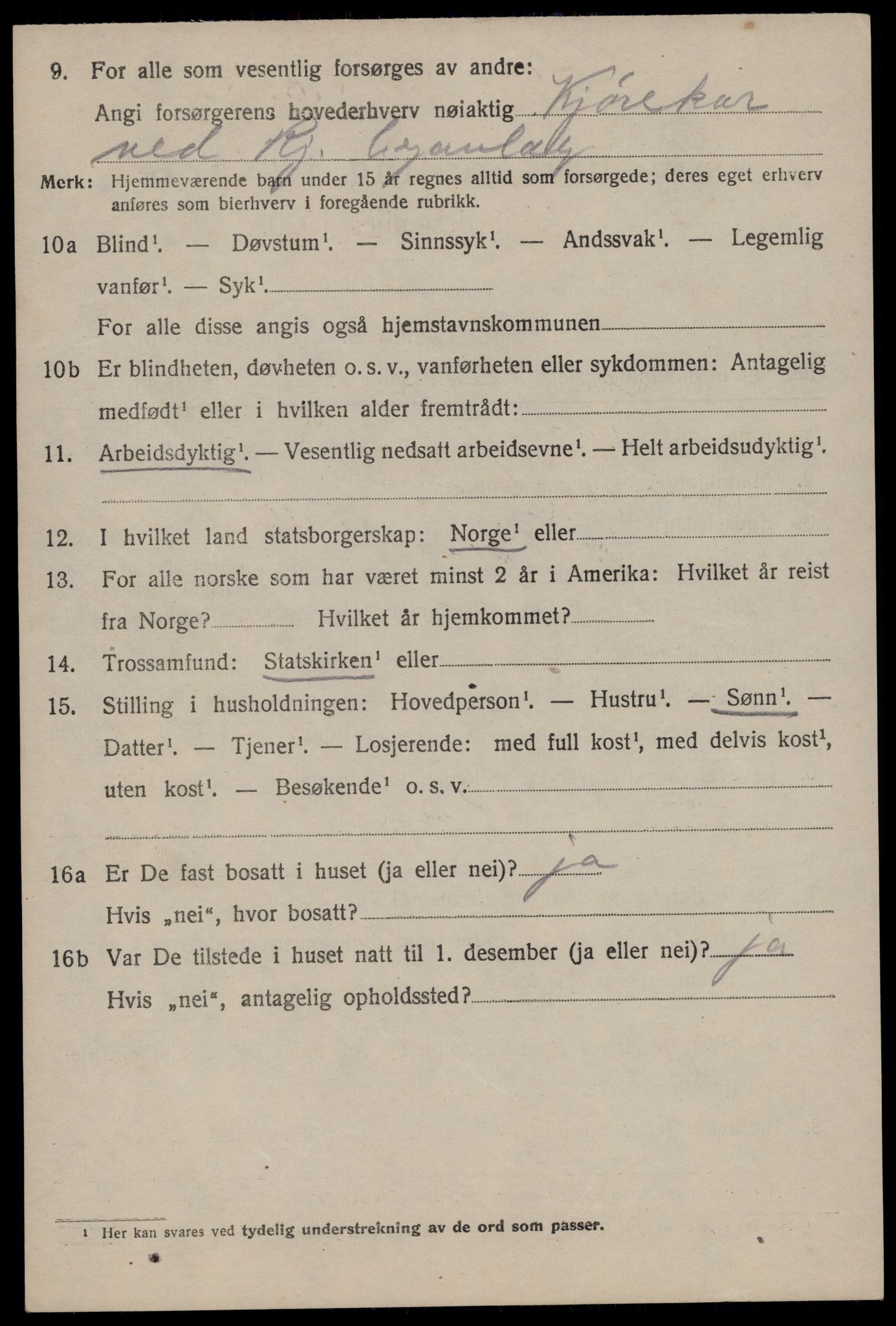 SAKO, 1920 census for Tinn, 1920, p. 19481