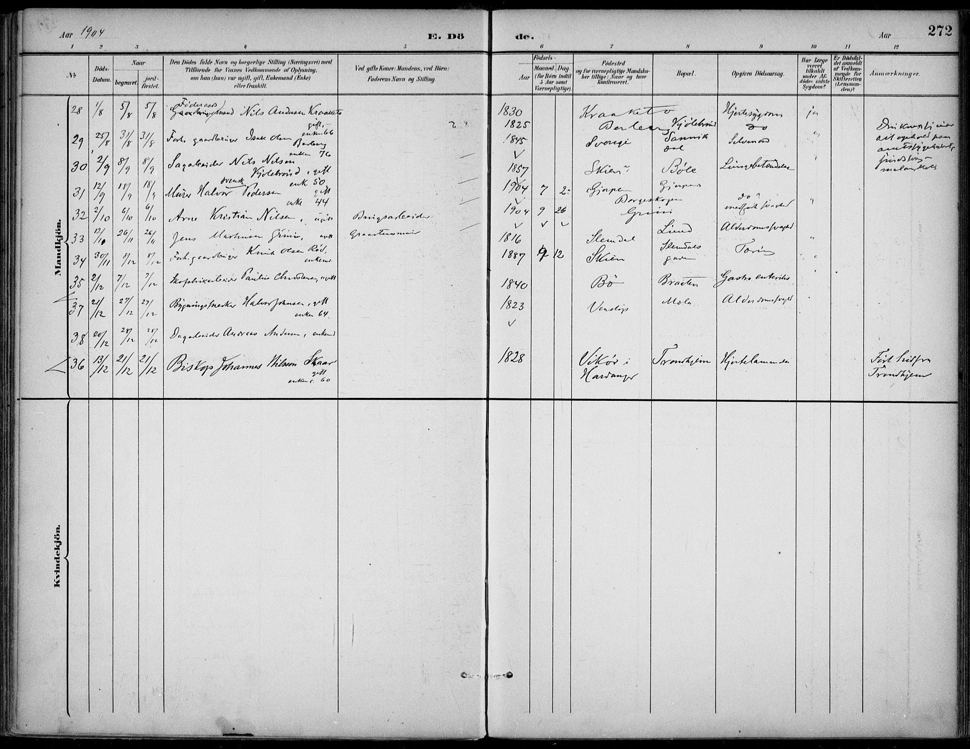 Gjerpen kirkebøker, SAKO/A-265/F/Fa/L0011: Parish register (official) no. I 11, 1896-1904, p. 272