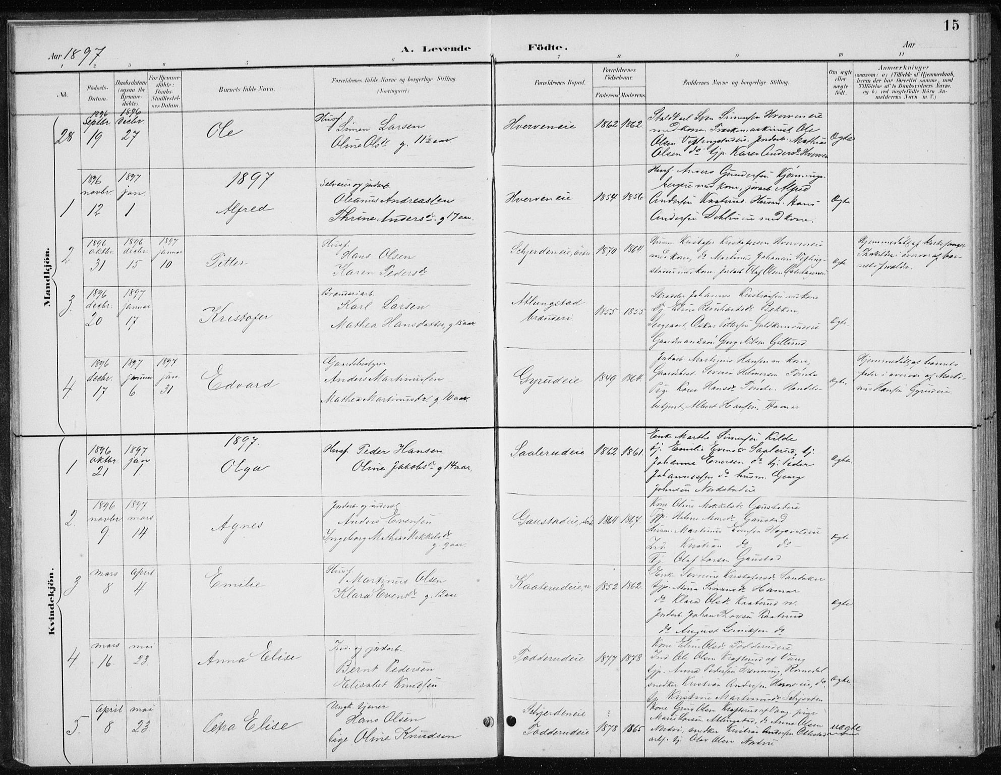 Stange prestekontor, AV/SAH-PREST-002/L/L0010: Parish register (copy) no. 10, 1894-1905, p. 15