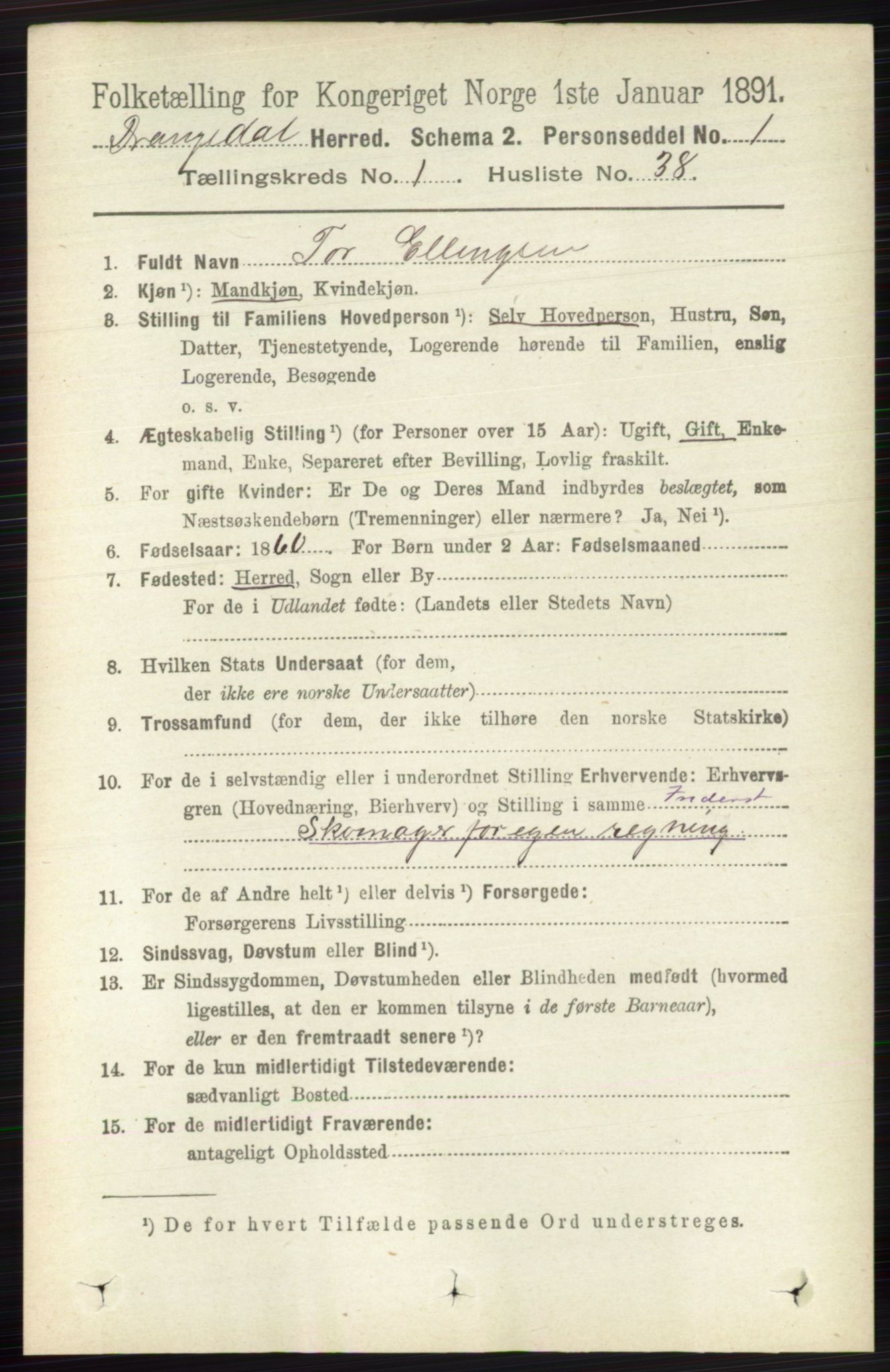 RA, 1891 census for 0817 Drangedal, 1891, p. 311