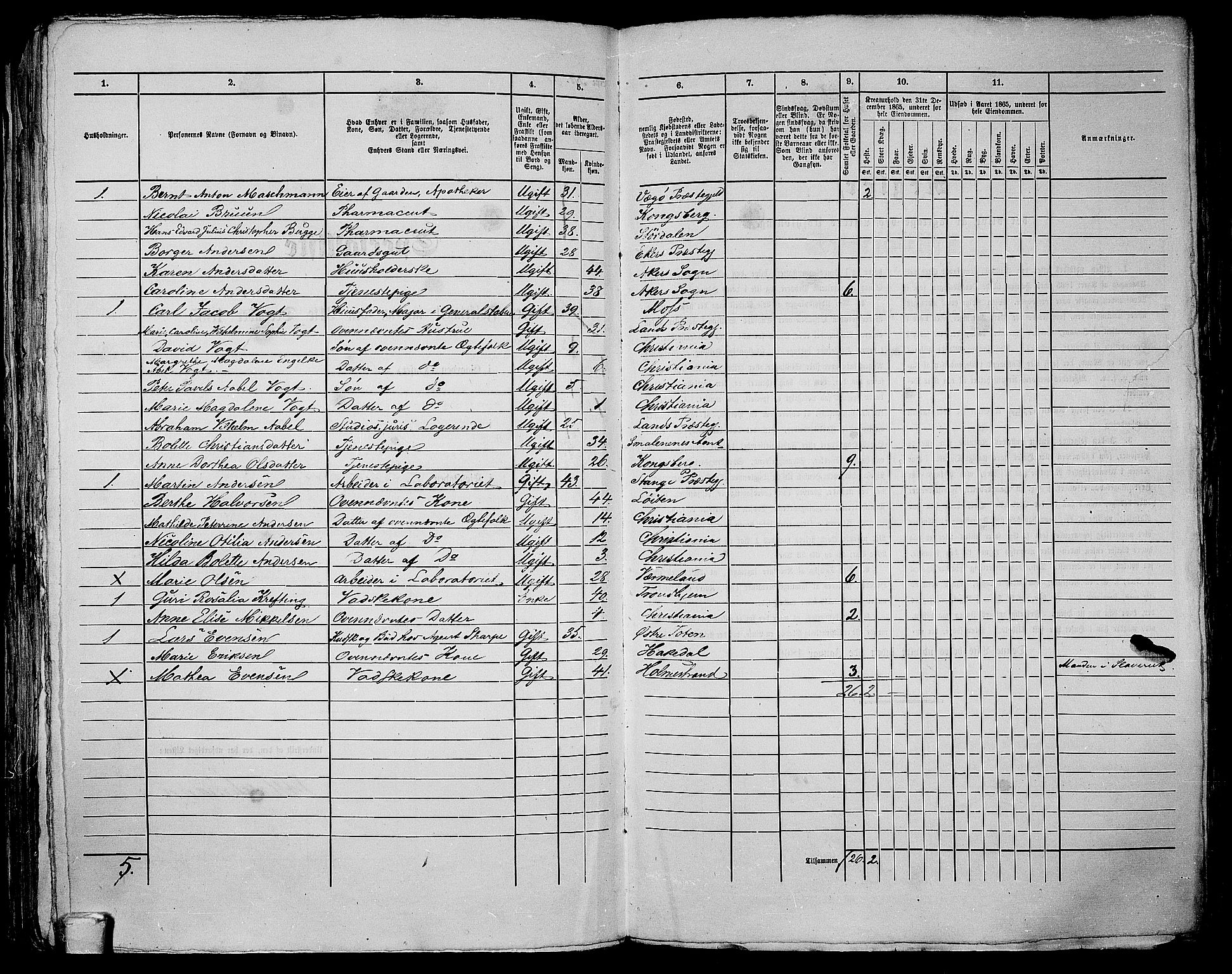 RA, 1865 census for Kristiania, 1865, p. 310
