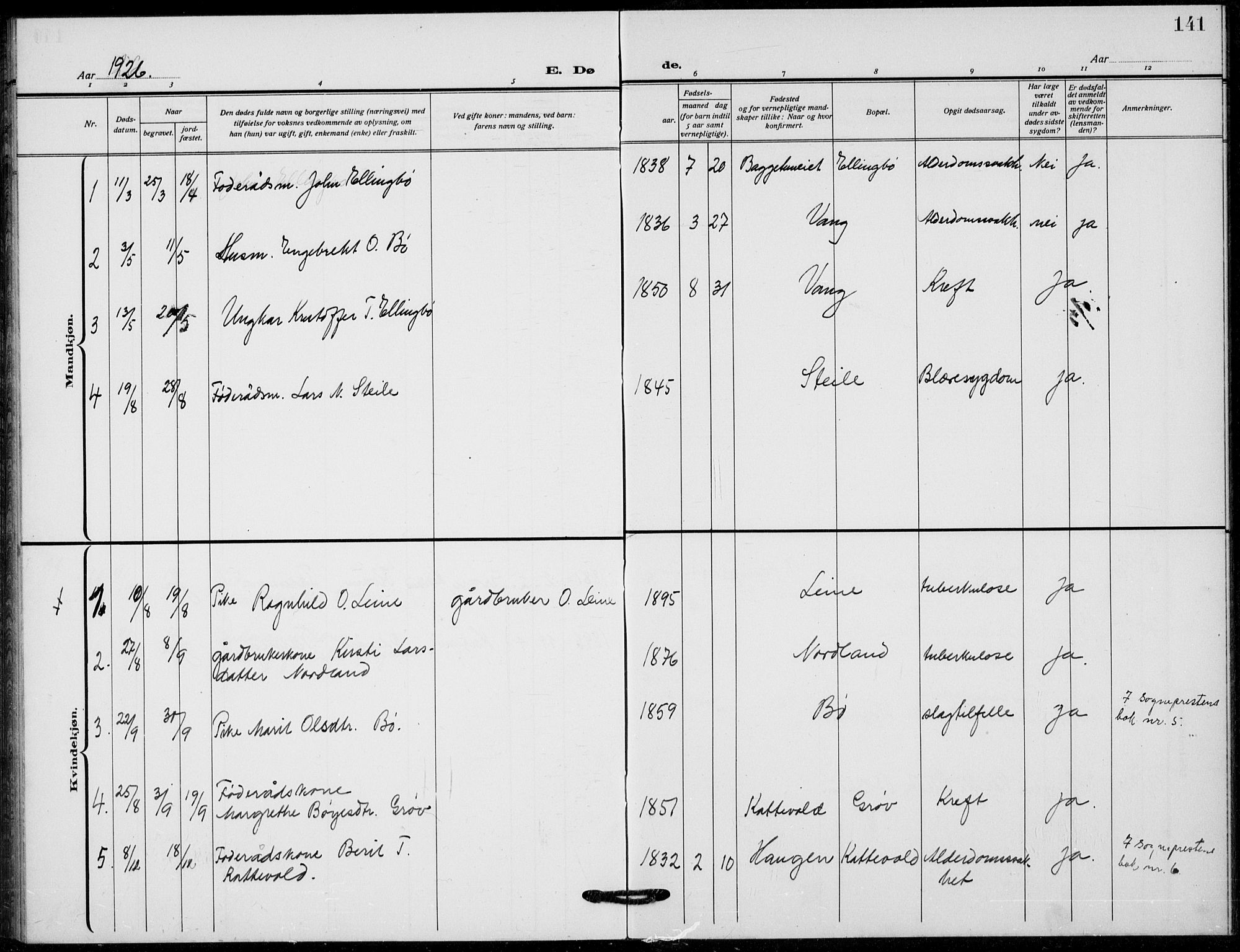Vang prestekontor, Valdres, SAH/PREST-140/H/Hb/L0012: Parish register (copy) no. 12, 1919-1937, p. 141
