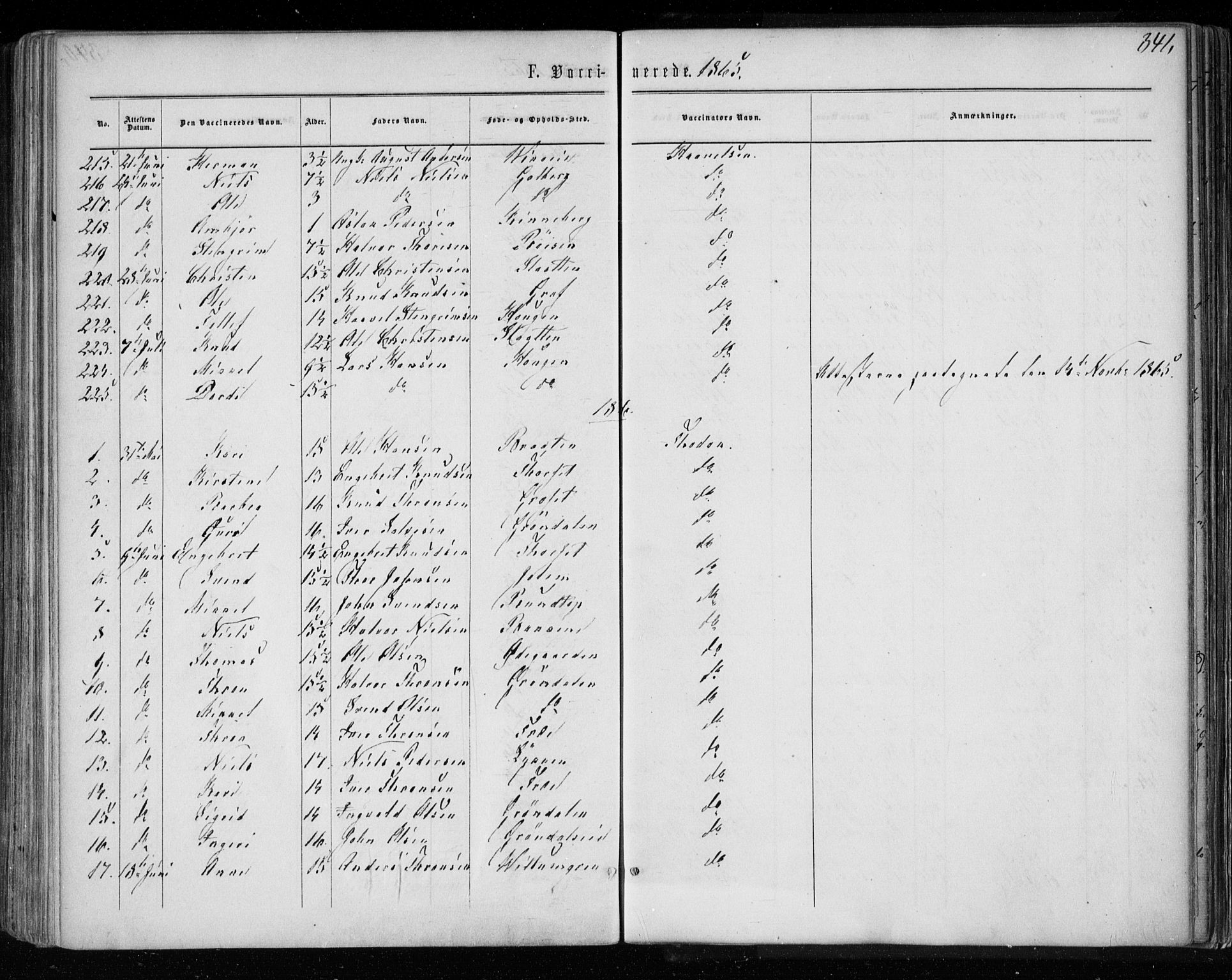 Gol kirkebøker, AV/SAKO-A-226/F/Fa/L0003: Parish register (official) no. I 3, 1863-1875, p. 341