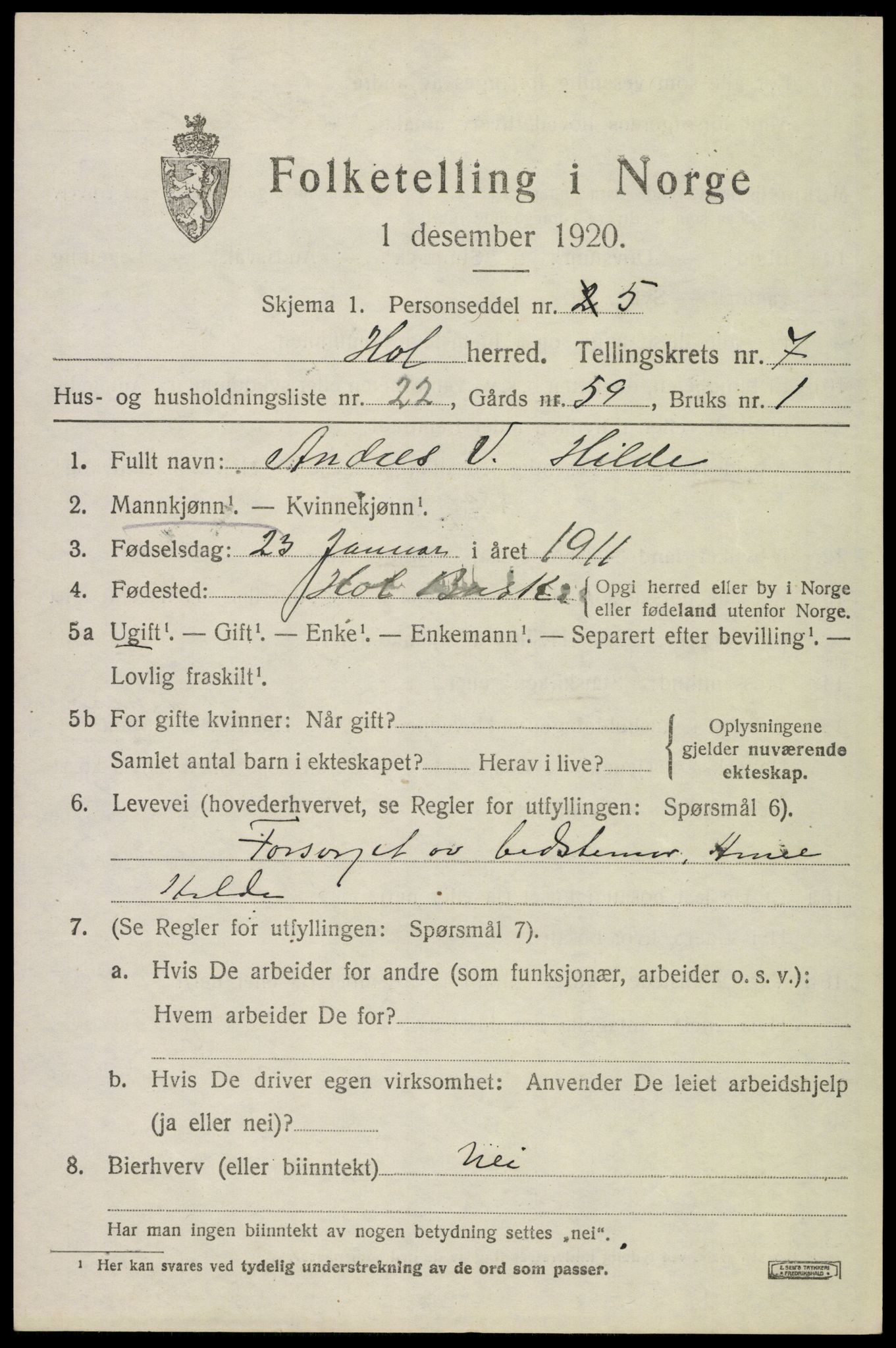 SAKO, 1920 census for Hol (Buskerud), 1920, p. 3785