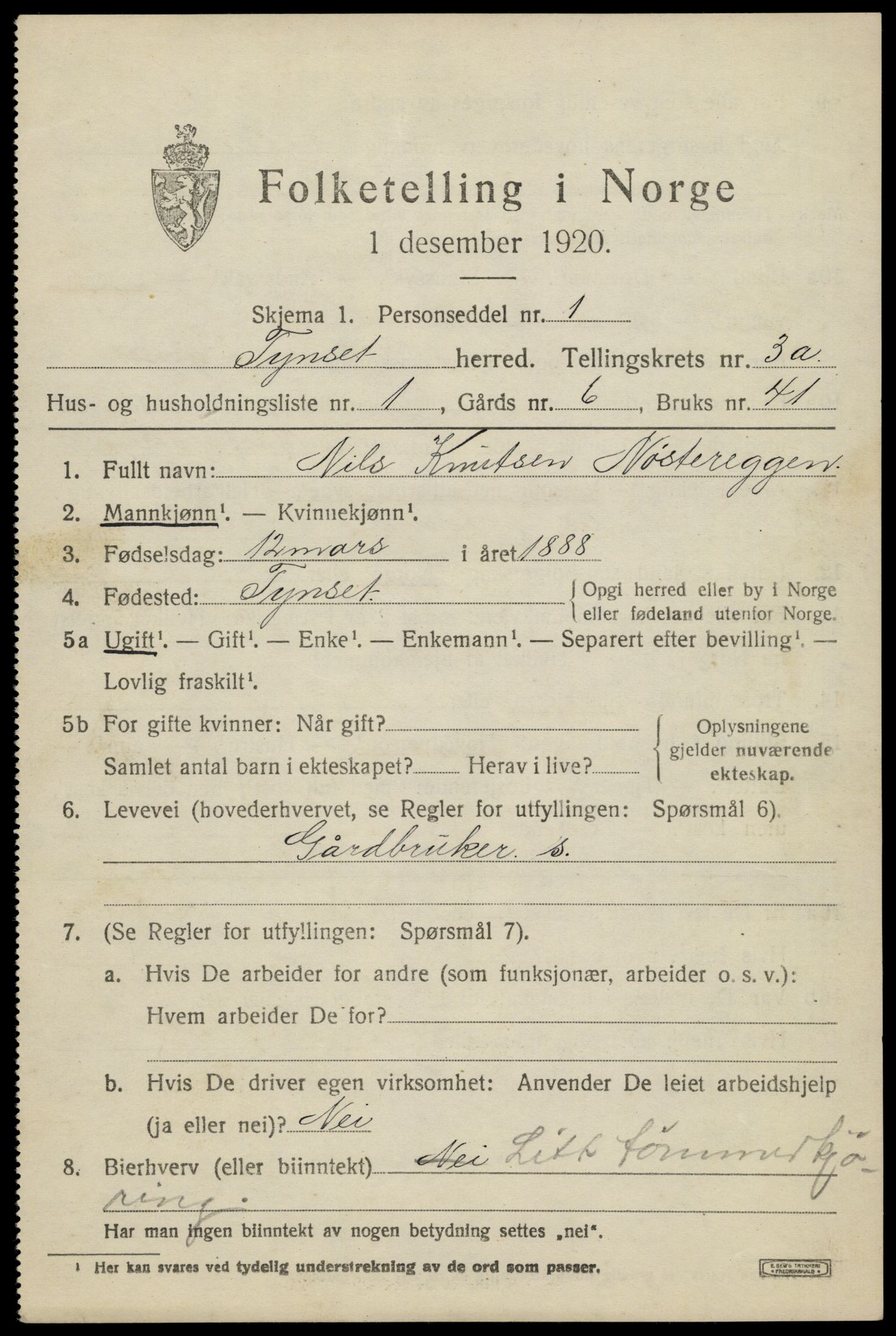 SAH, 1920 census for Tynset, 1920, p. 2900