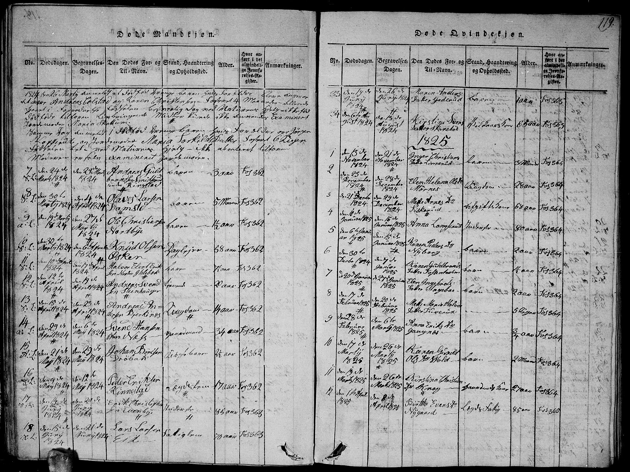 Høland prestekontor Kirkebøker, AV/SAO-A-10346a/G/Ga/L0001: Parish register (copy) no. I 1, 1814-1827, p. 119