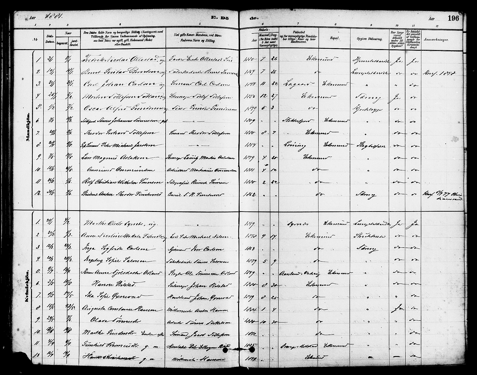 Eigersund sokneprestkontor, SAST/A-101807/S08/L0015: Parish register (official) no. A 15, 1879-1892, p. 196