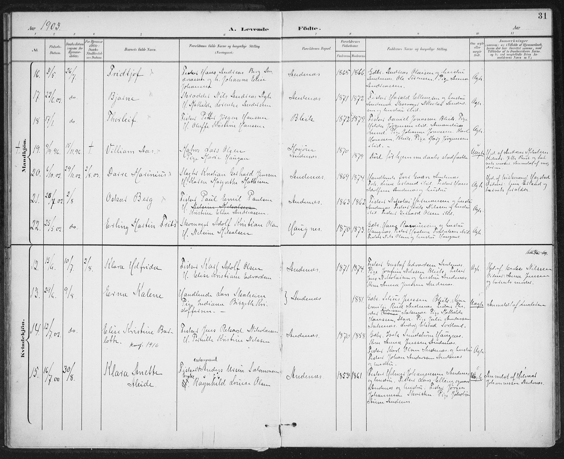 Ministerialprotokoller, klokkerbøker og fødselsregistre - Nordland, AV/SAT-A-1459/899/L1437: Parish register (official) no. 899A05, 1897-1908, p. 31