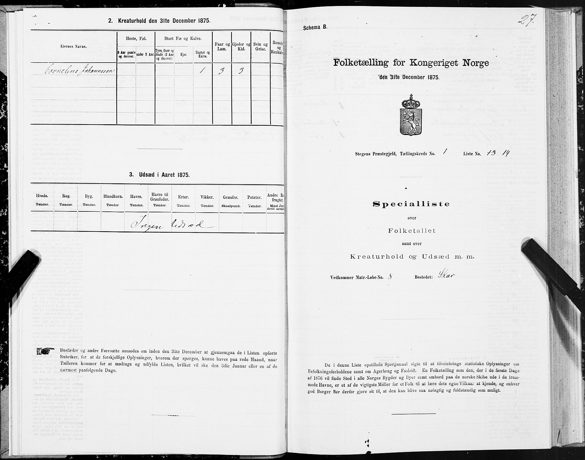 SAT, 1875 census for 1848P Steigen, 1875, p. 1027