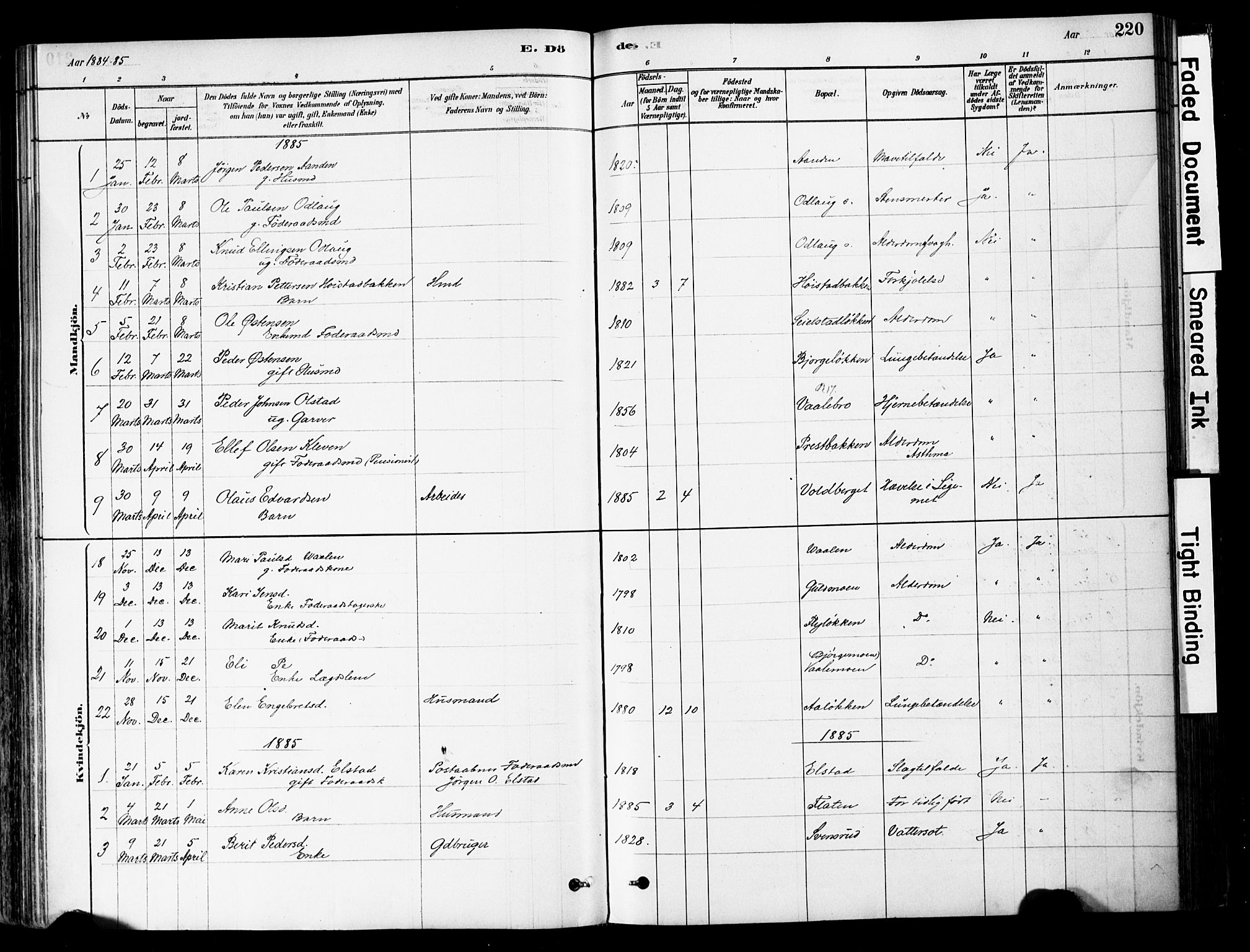 Ringebu prestekontor, SAH/PREST-082/H/Ha/Haa/L0008: Parish register (official) no. 8, 1878-1898, p. 220