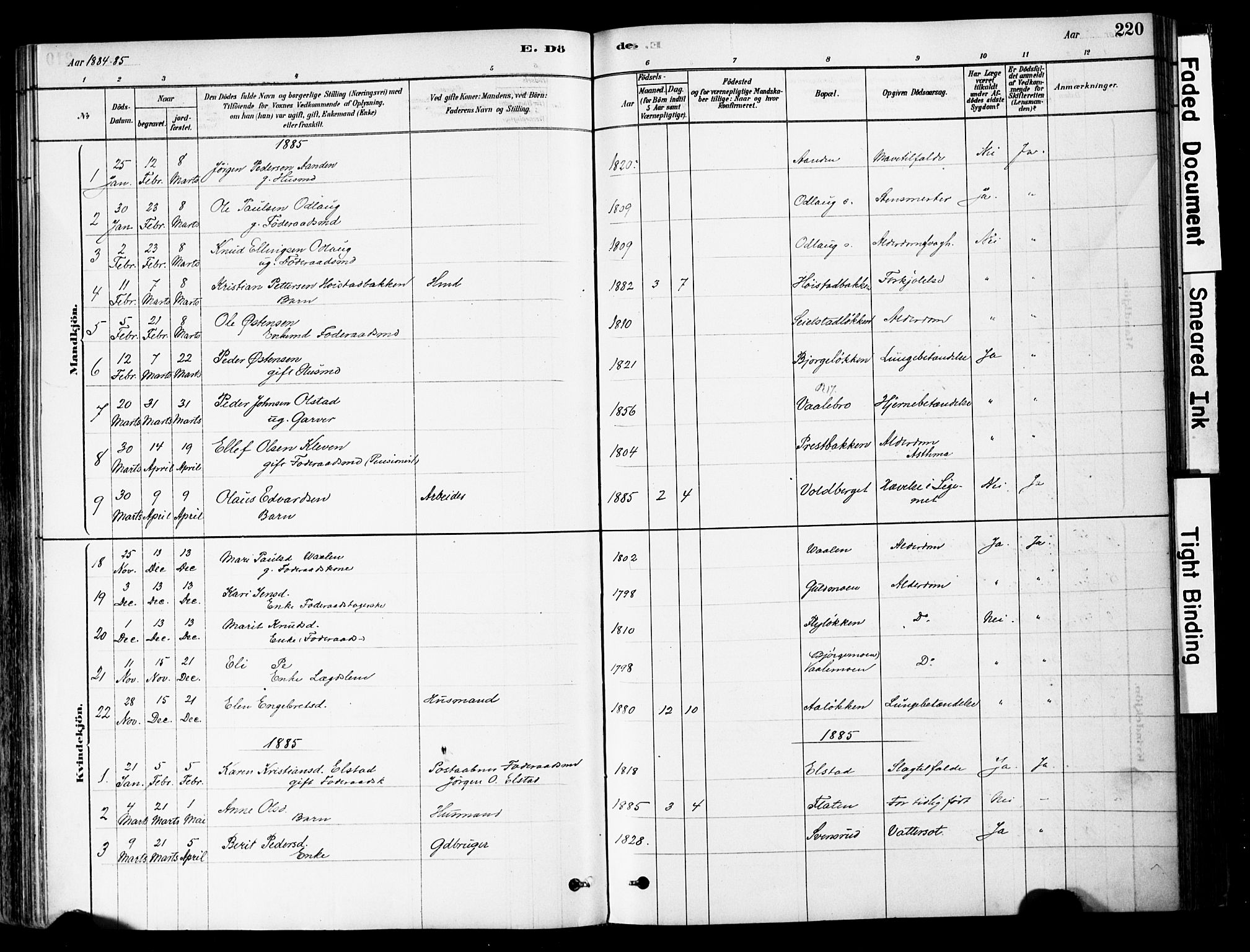 Ringebu prestekontor, AV/SAH-PREST-082/H/Ha/Haa/L0008: Parish register (official) no. 8, 1878-1898, p. 220