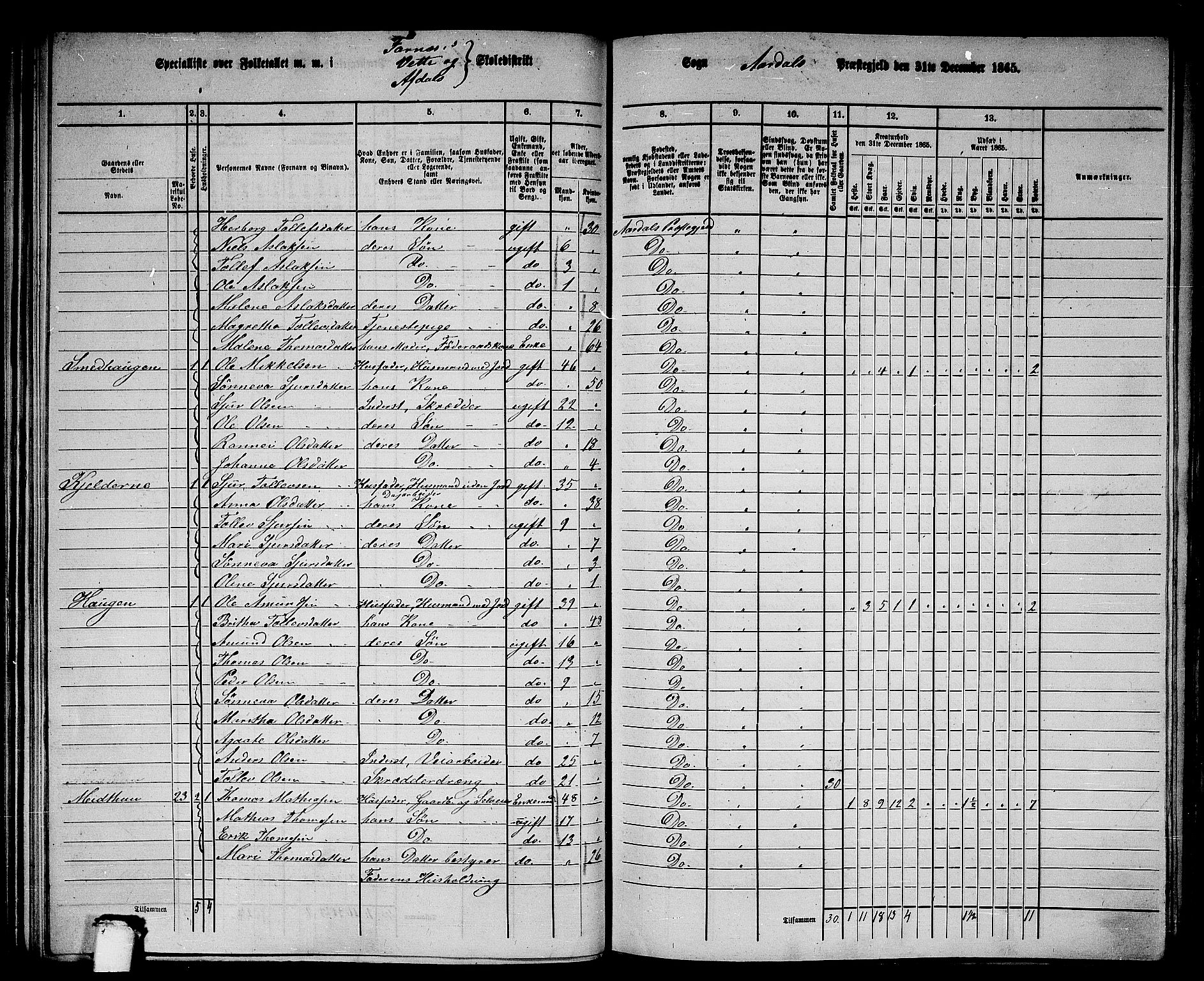 RA, 1865 census for Årdal, 1865, p. 73