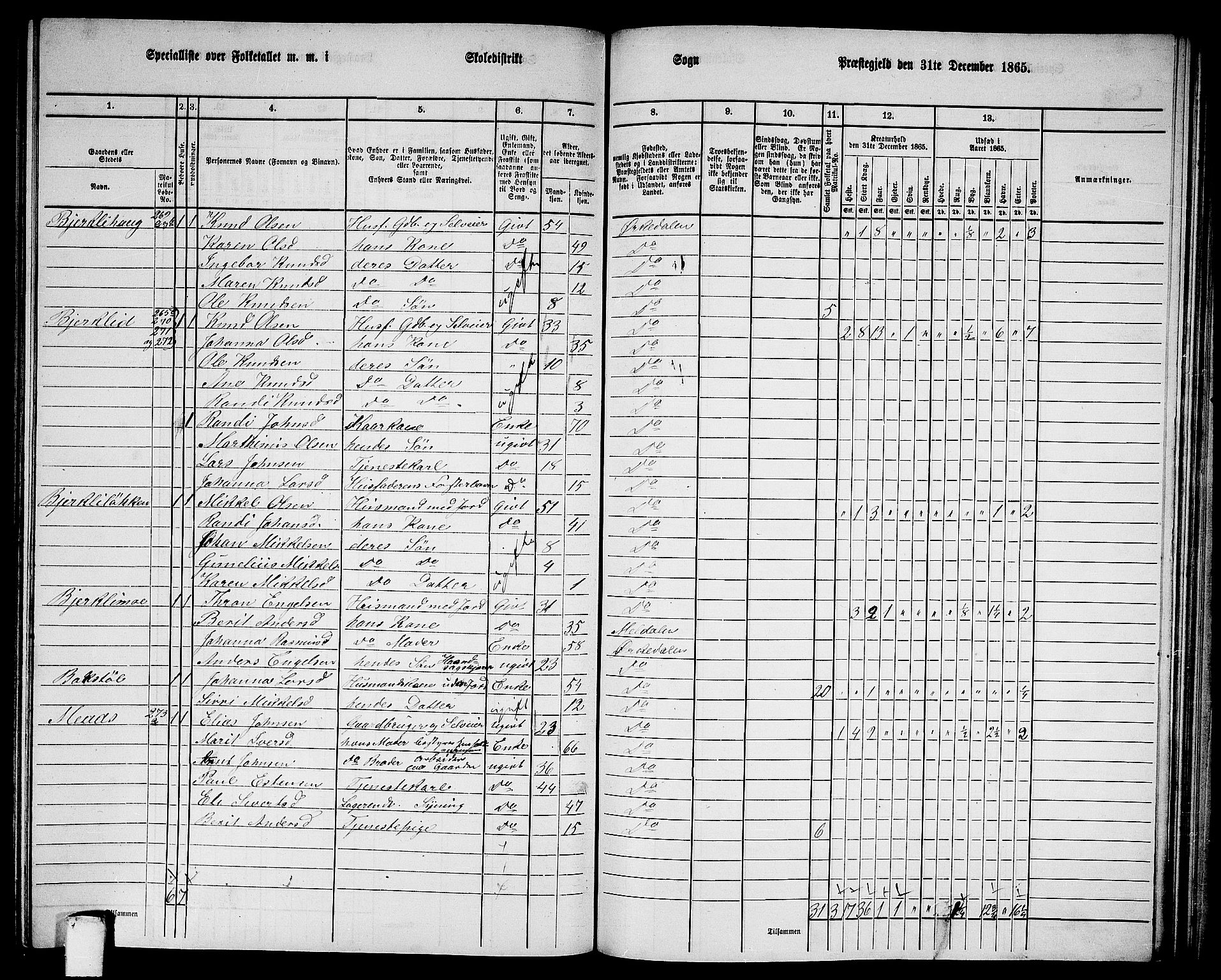 RA, 1865 census for Orkdal, 1865, p. 205