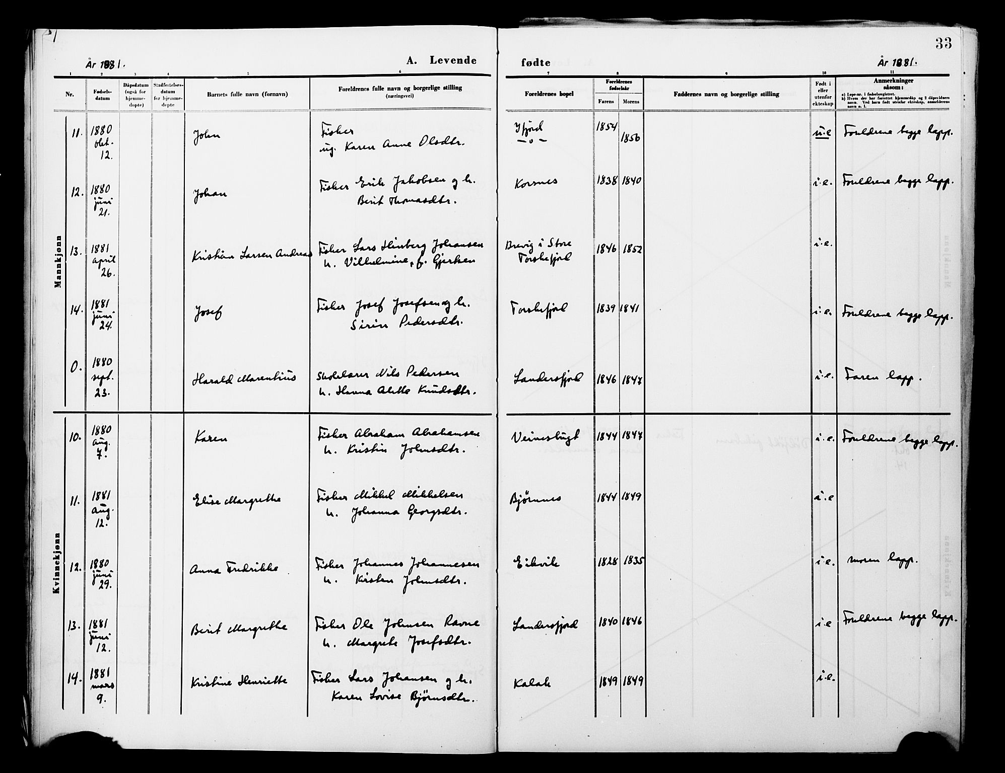 Lebesby sokneprestkontor, AV/SATØ-S-1353/H/Ha/L0004kirke: Parish register (official) no. 4, 1870-1902, p. 33