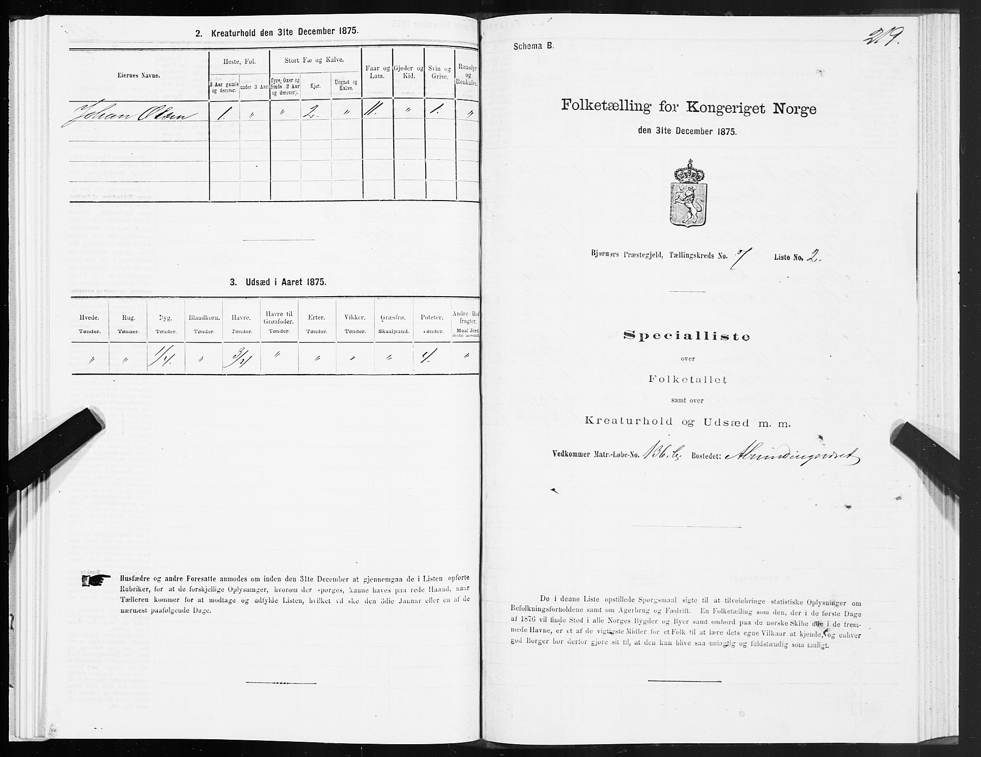 SAT, 1875 census for 1632P Bjørnør, 1875, p. 3219