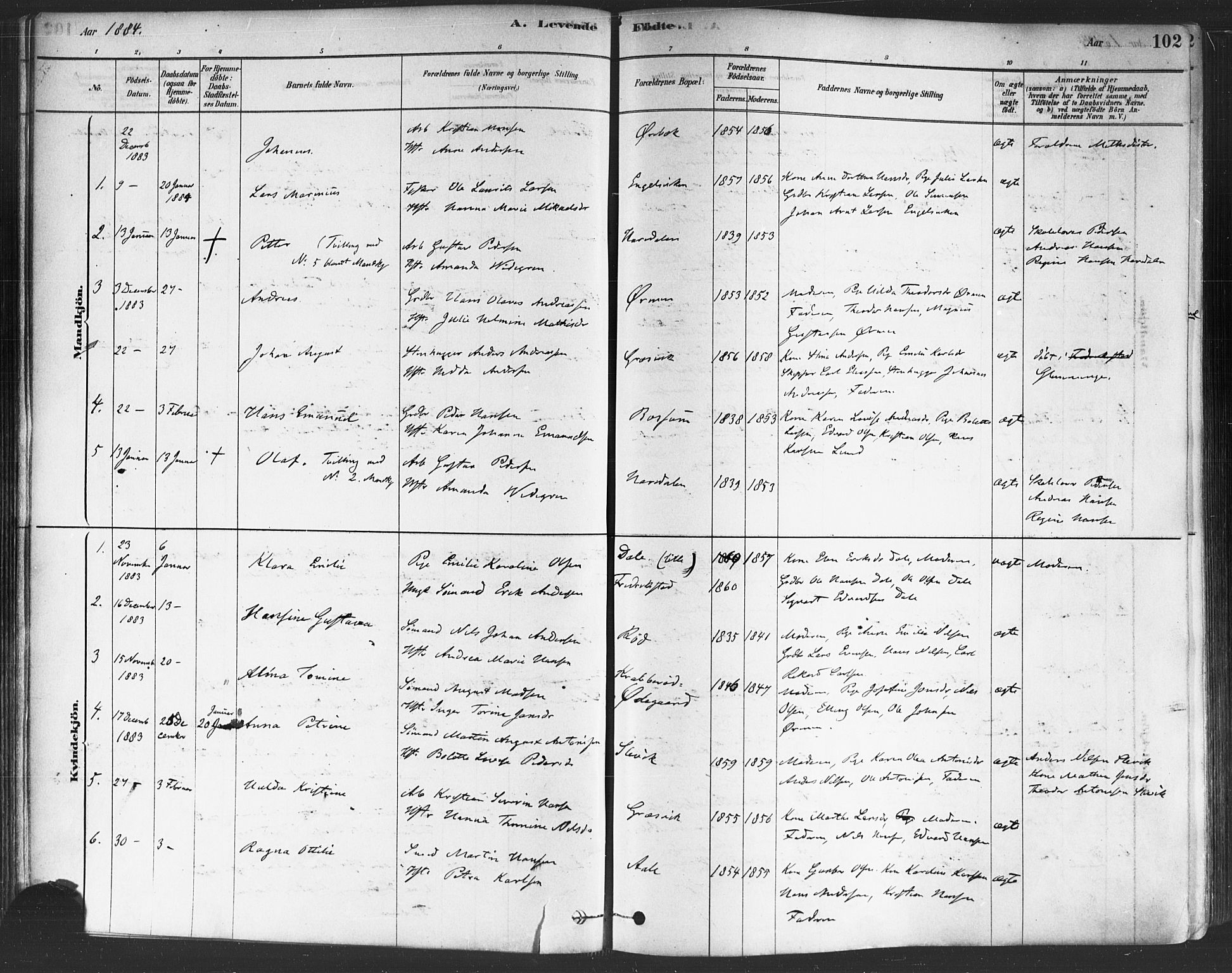 Onsøy prestekontor Kirkebøker, AV/SAO-A-10914/F/Fa/L0005: Parish register (official) no. I 5, 1878-1898, p. 102