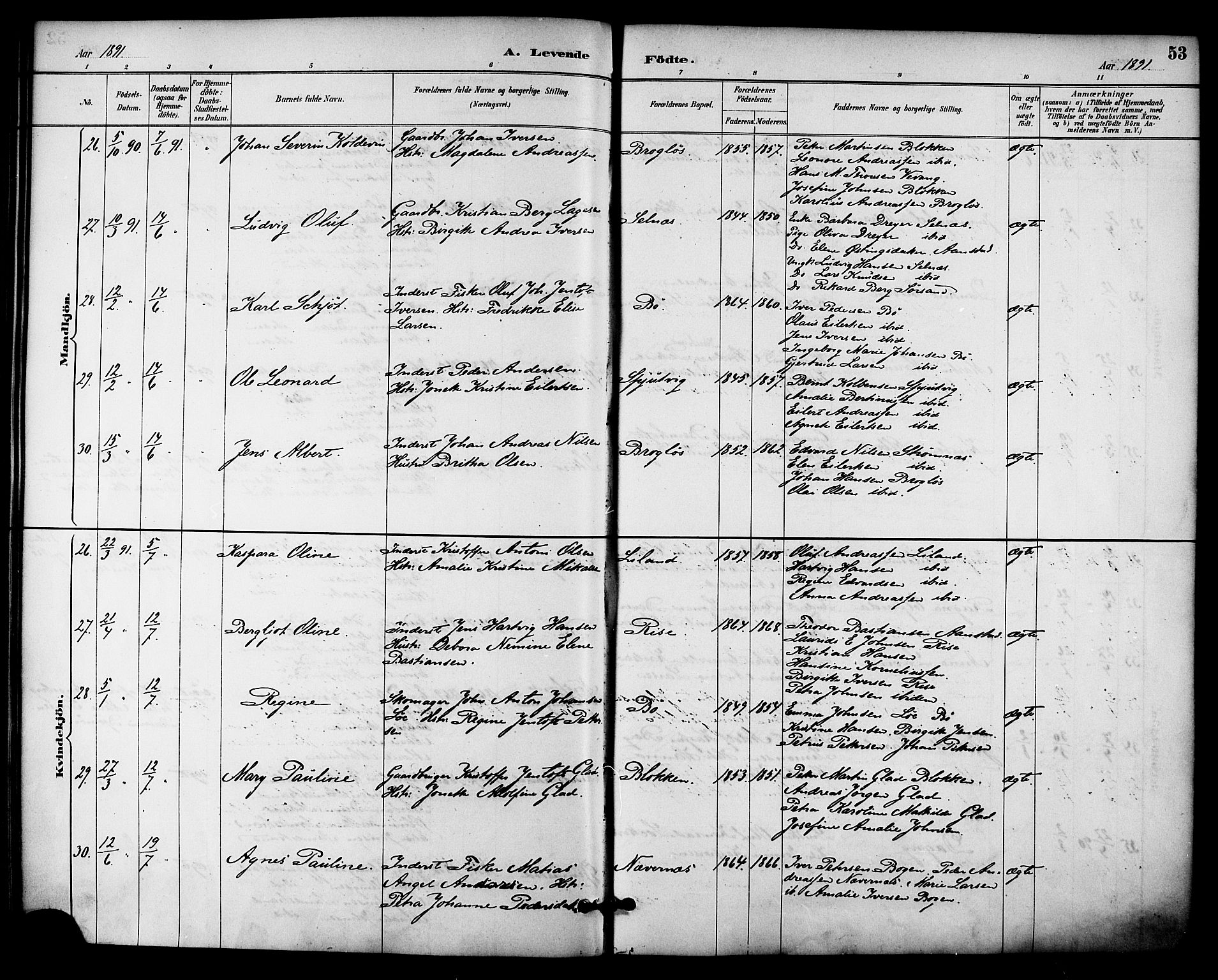 Ministerialprotokoller, klokkerbøker og fødselsregistre - Nordland, AV/SAT-A-1459/895/L1371: Parish register (official) no. 895A06, 1885-1894, p. 53