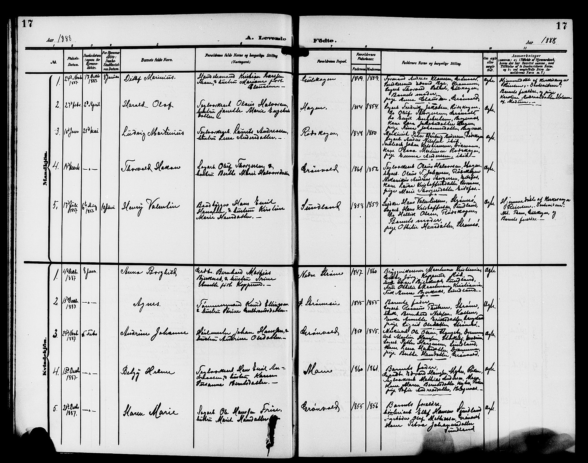 Strømsgodset kirkebøker, SAKO/A-324/G/Ga/L0002: Parish register (copy) no. 2, 1885-1910, p. 17
