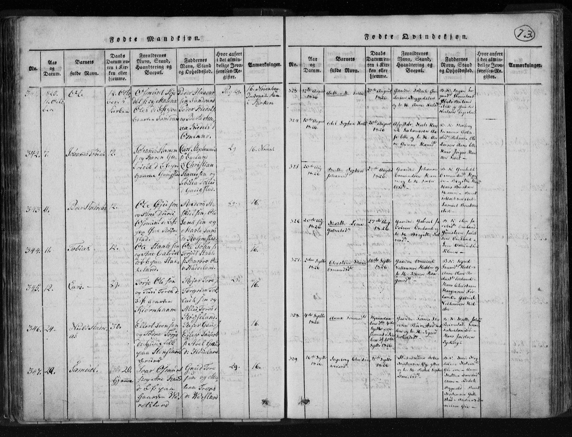 Kvinesdal sokneprestkontor, AV/SAK-1111-0026/F/Fa/Fab/L0003: Parish register (official) no. A 3, 1815-1829, p. 73