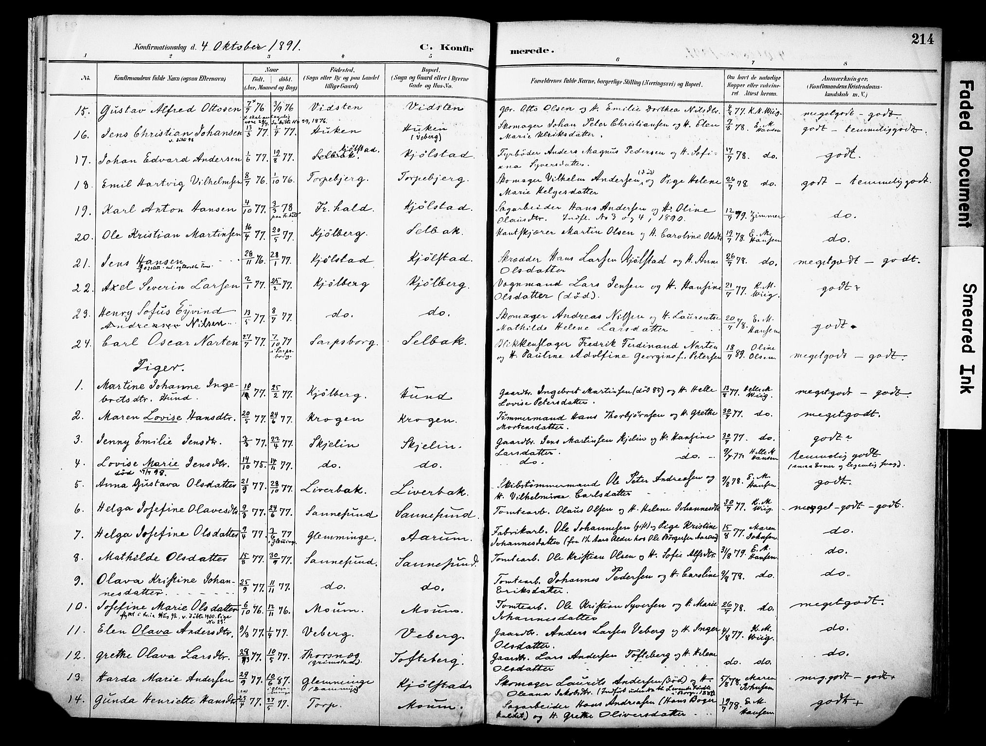 Borge prestekontor Kirkebøker, AV/SAO-A-10903/F/Fa/L0008: Parish register (official) no. I 8B, 1887-1902, p. 214