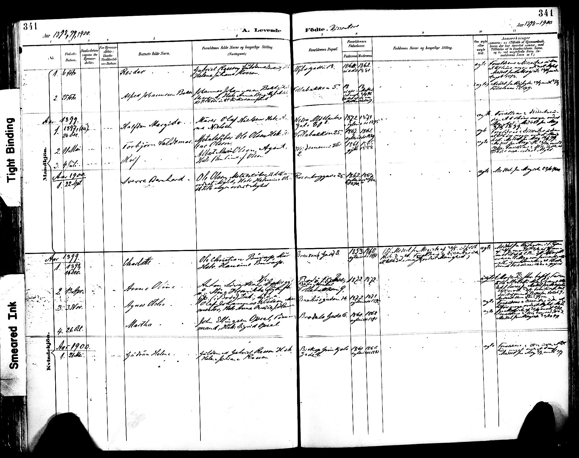 Ministerialprotokoller, klokkerbøker og fødselsregistre - Sør-Trøndelag, SAT/A-1456/604/L0197: Parish register (official) no. 604A18, 1893-1900, p. 341