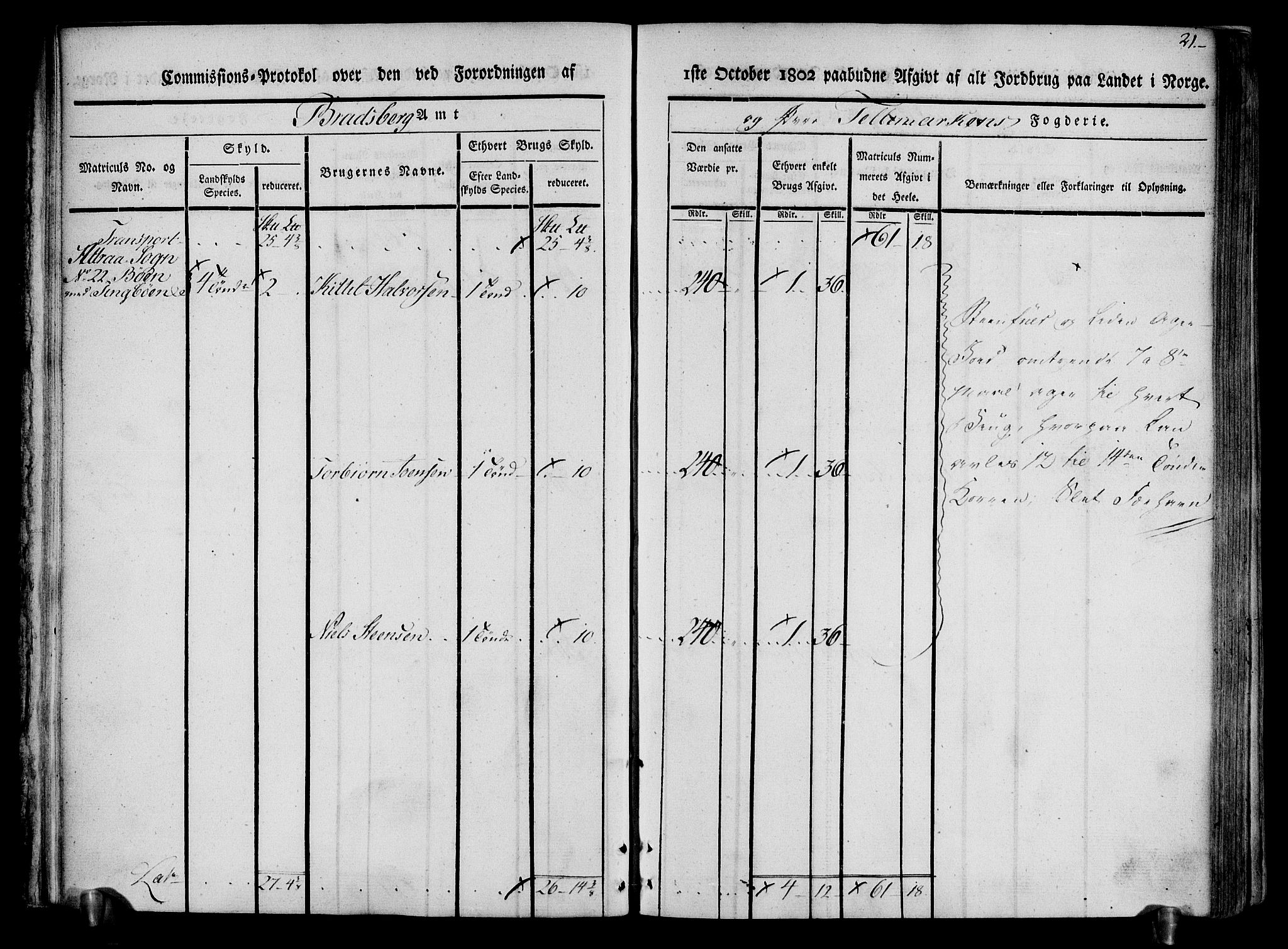 Rentekammeret inntil 1814, Realistisk ordnet avdeling, RA/EA-4070/N/Ne/Nea/L0074: Øvre Telemarken fogderi. Kommisjonsprotokoll for fogderiets østre del - Tinn, Hjartdal og Seljord prestegjeld., 1803, p. 21