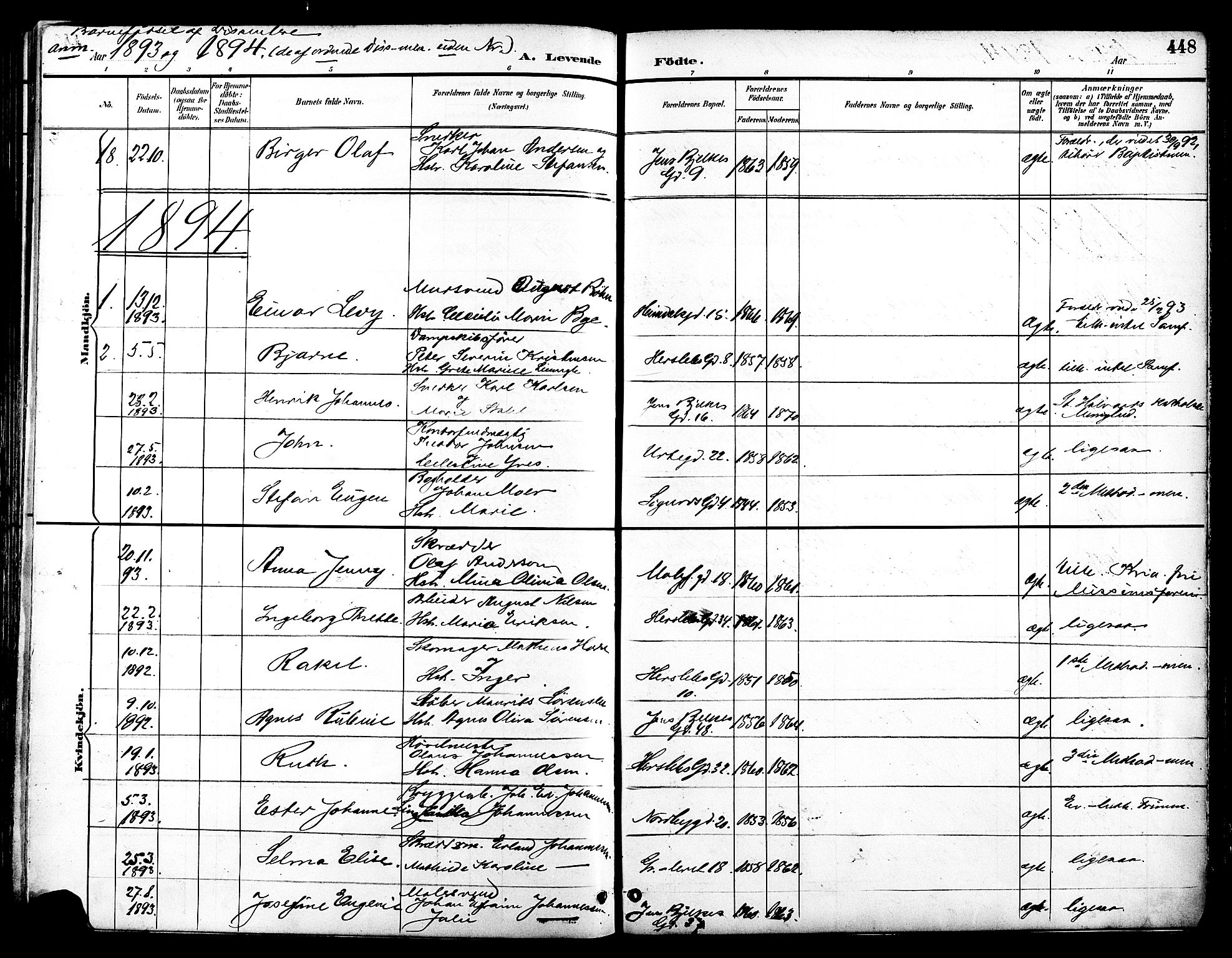 Grønland prestekontor Kirkebøker, SAO/A-10848/F/Fa/L0012: Parish register (official) no. 12, 1893-1900, p. 448